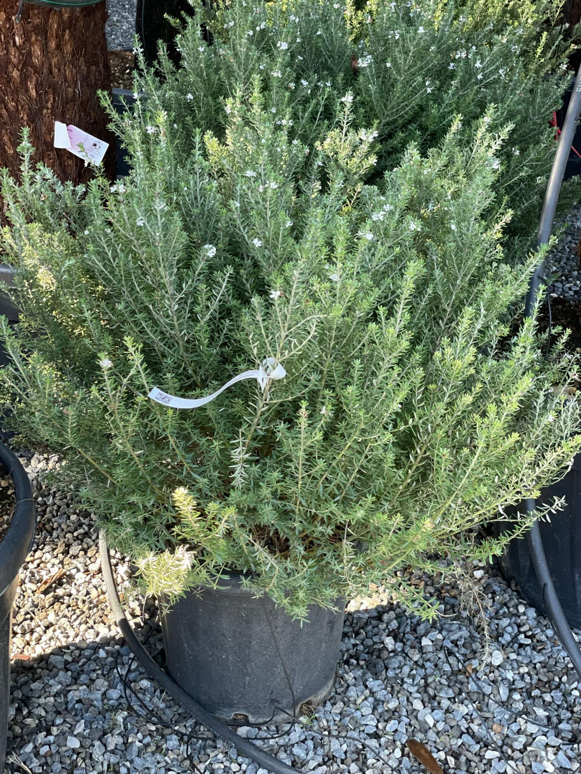 1667729075 scaled ab4ebdaf