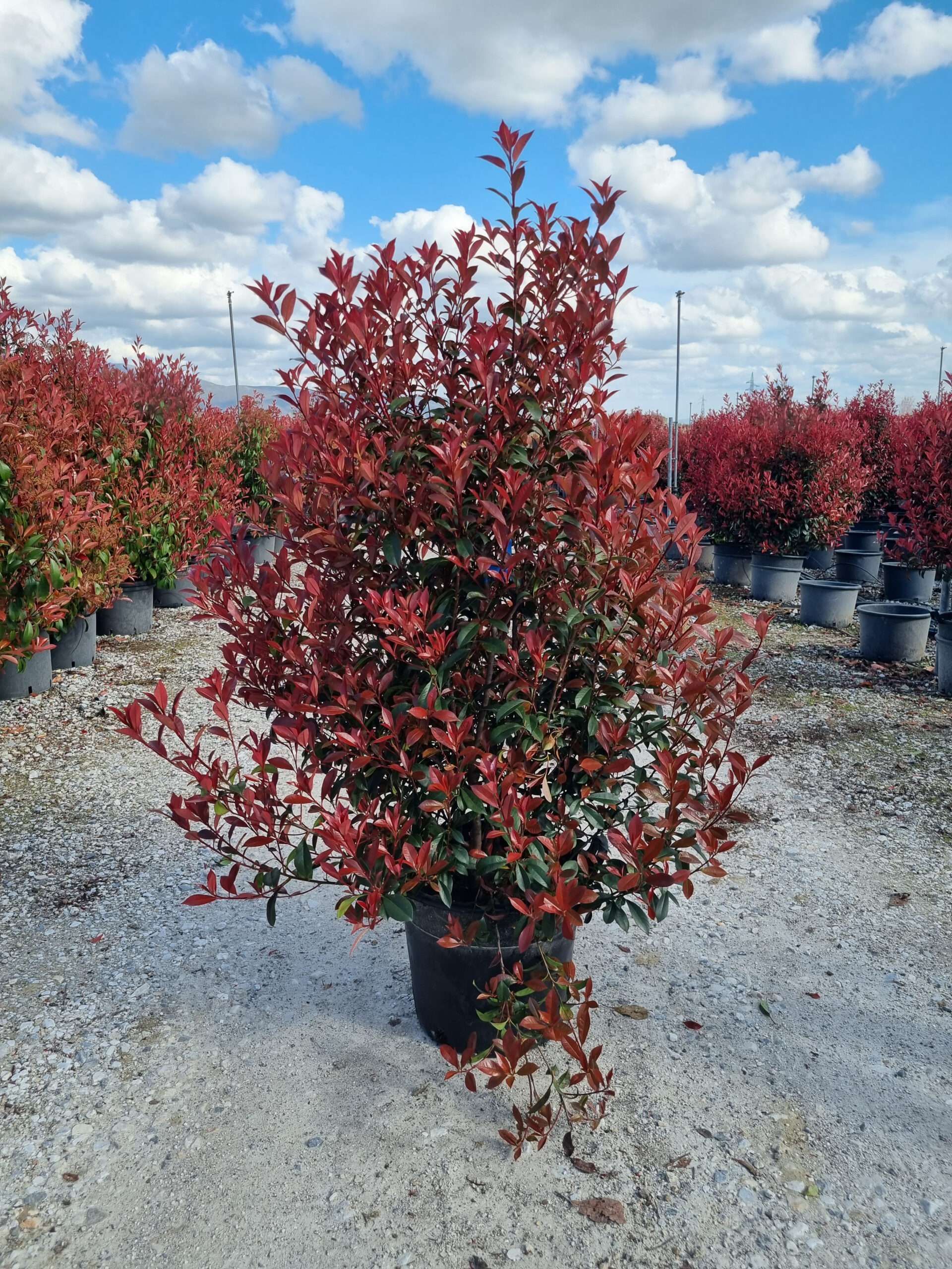 1680679407 20230330 162156 scaled ab58a7ba