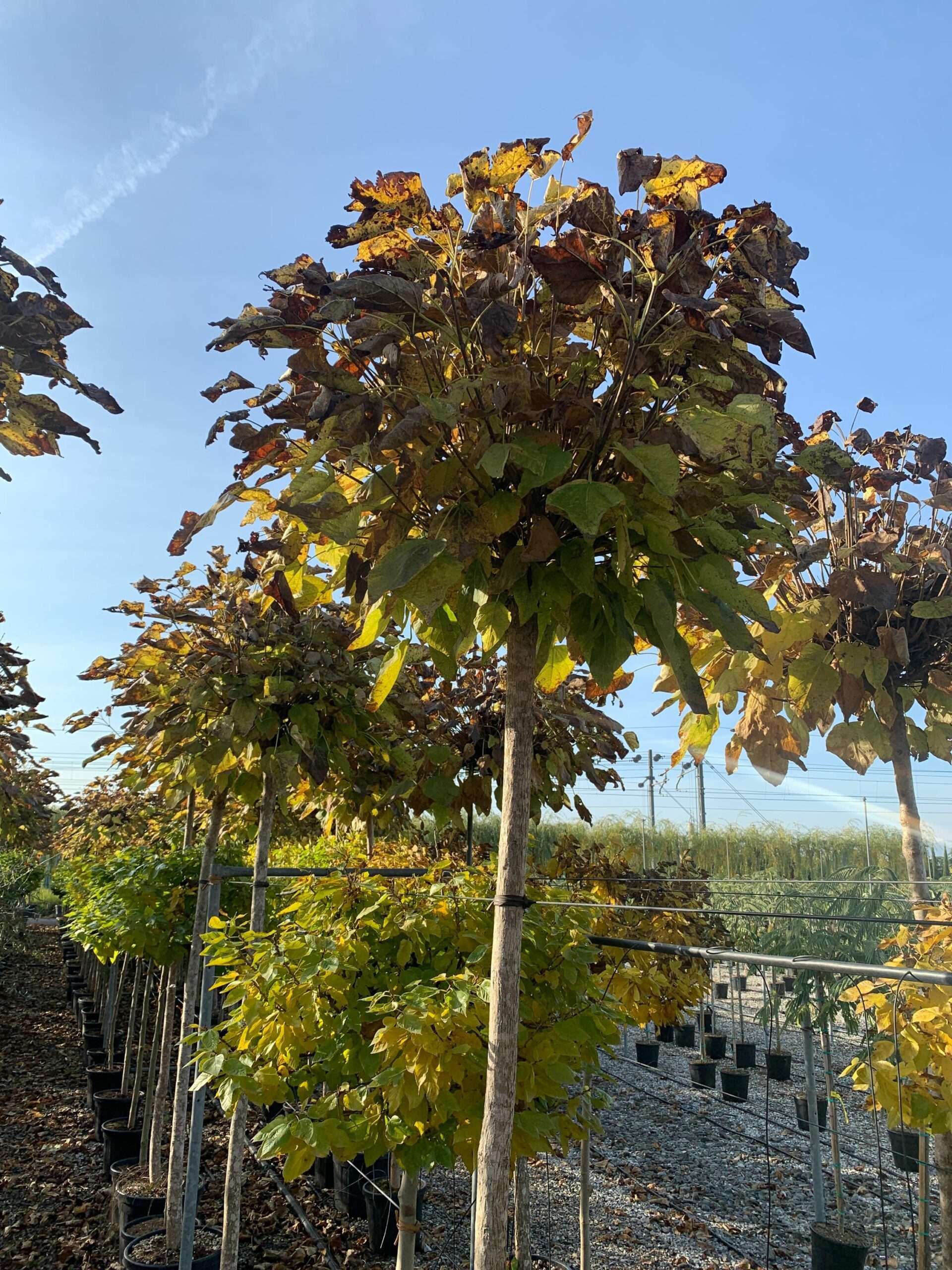 1635494181 scaled ac37be17