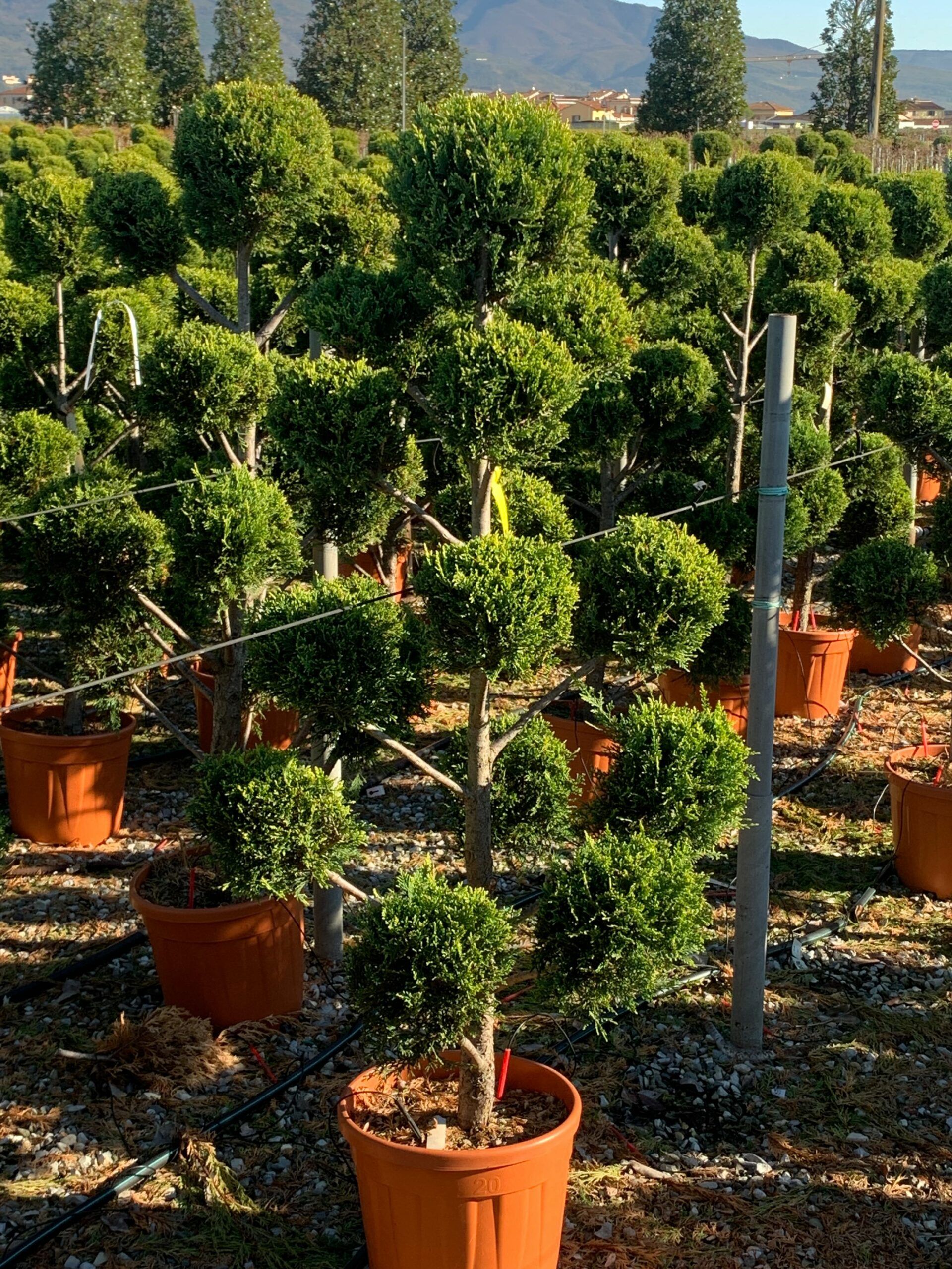 1637746728 scaled ac286f04