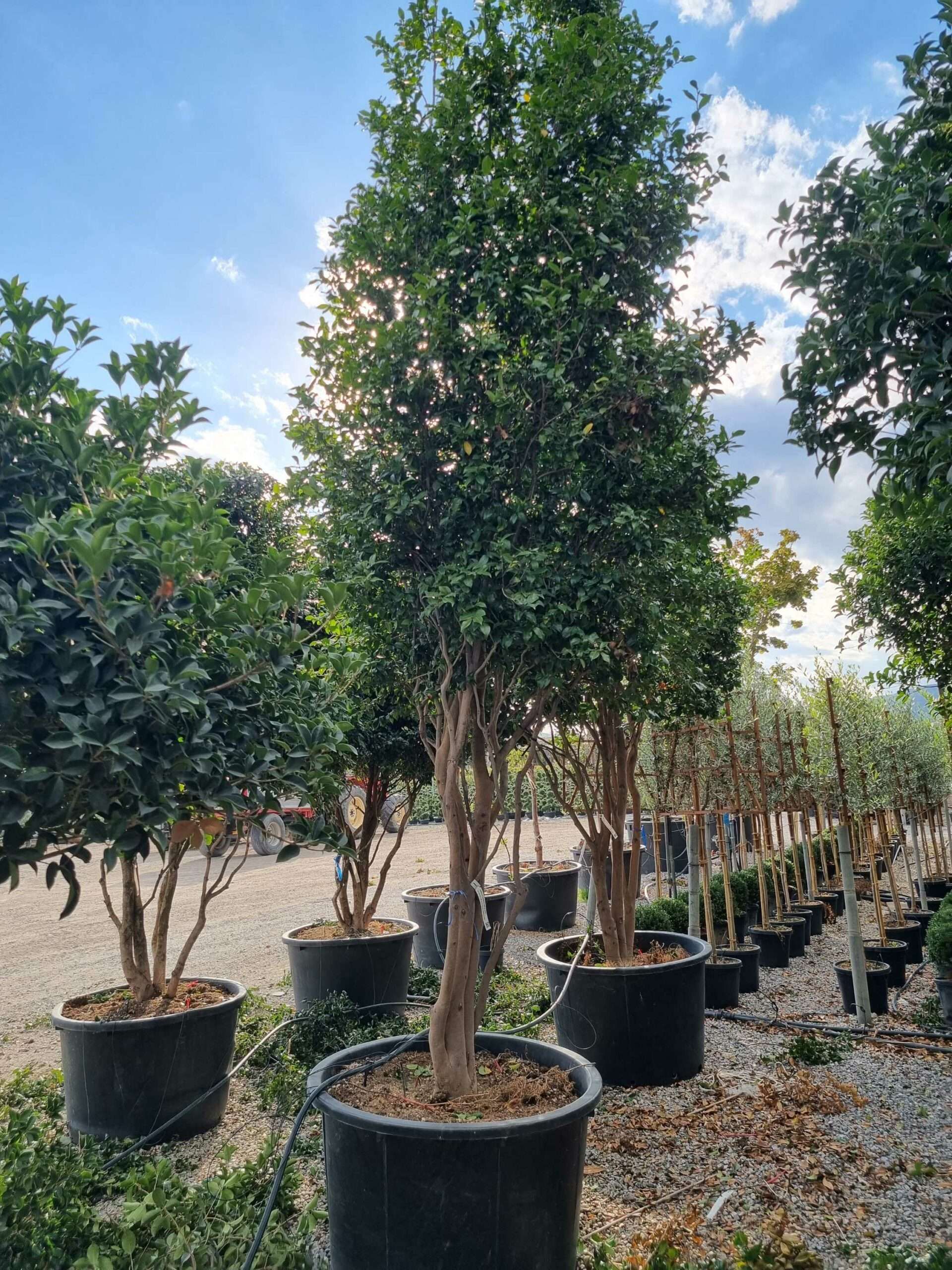 1663599324 scaled acdd7fae