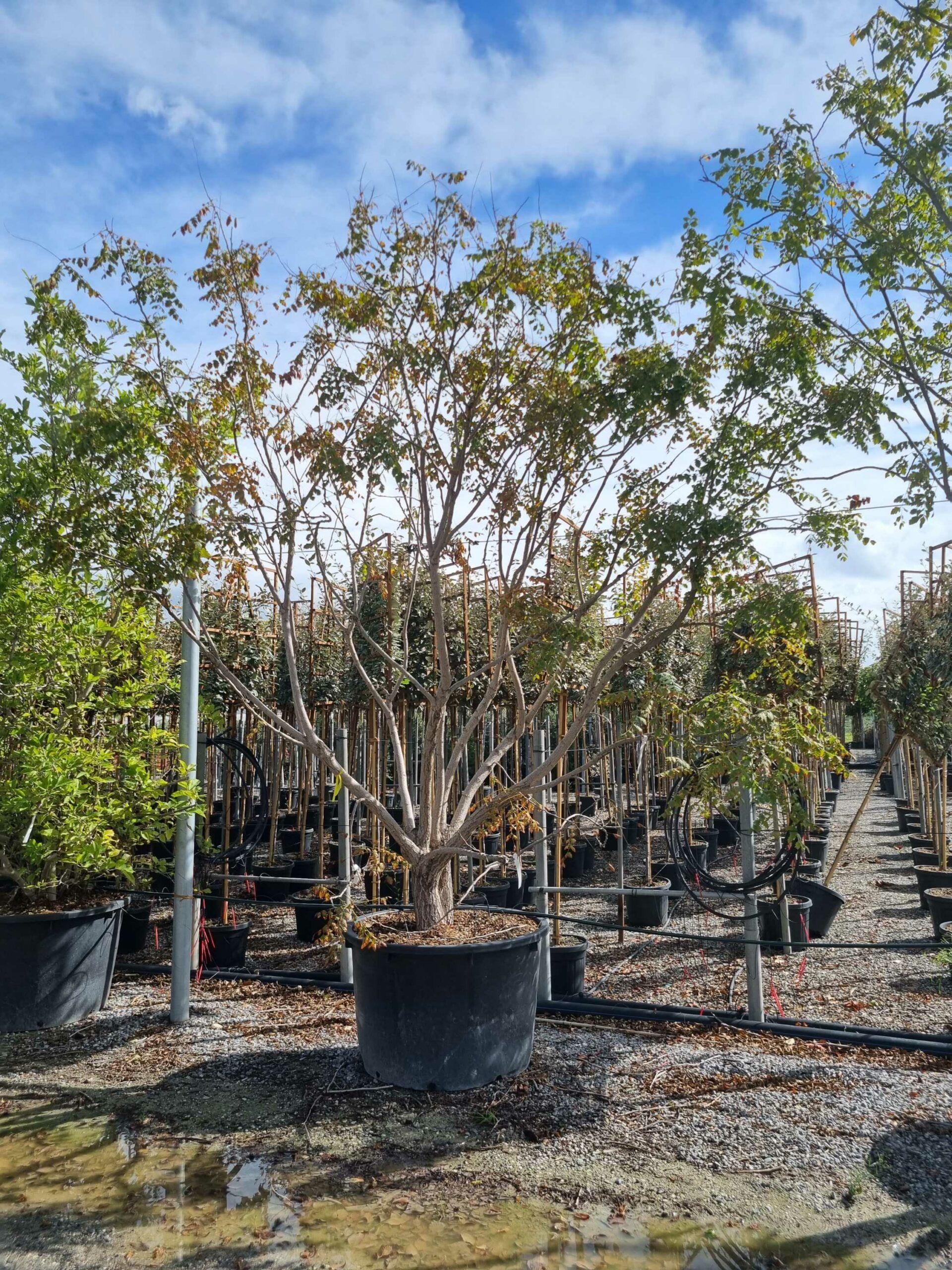 1664441925 scaled ac04b348