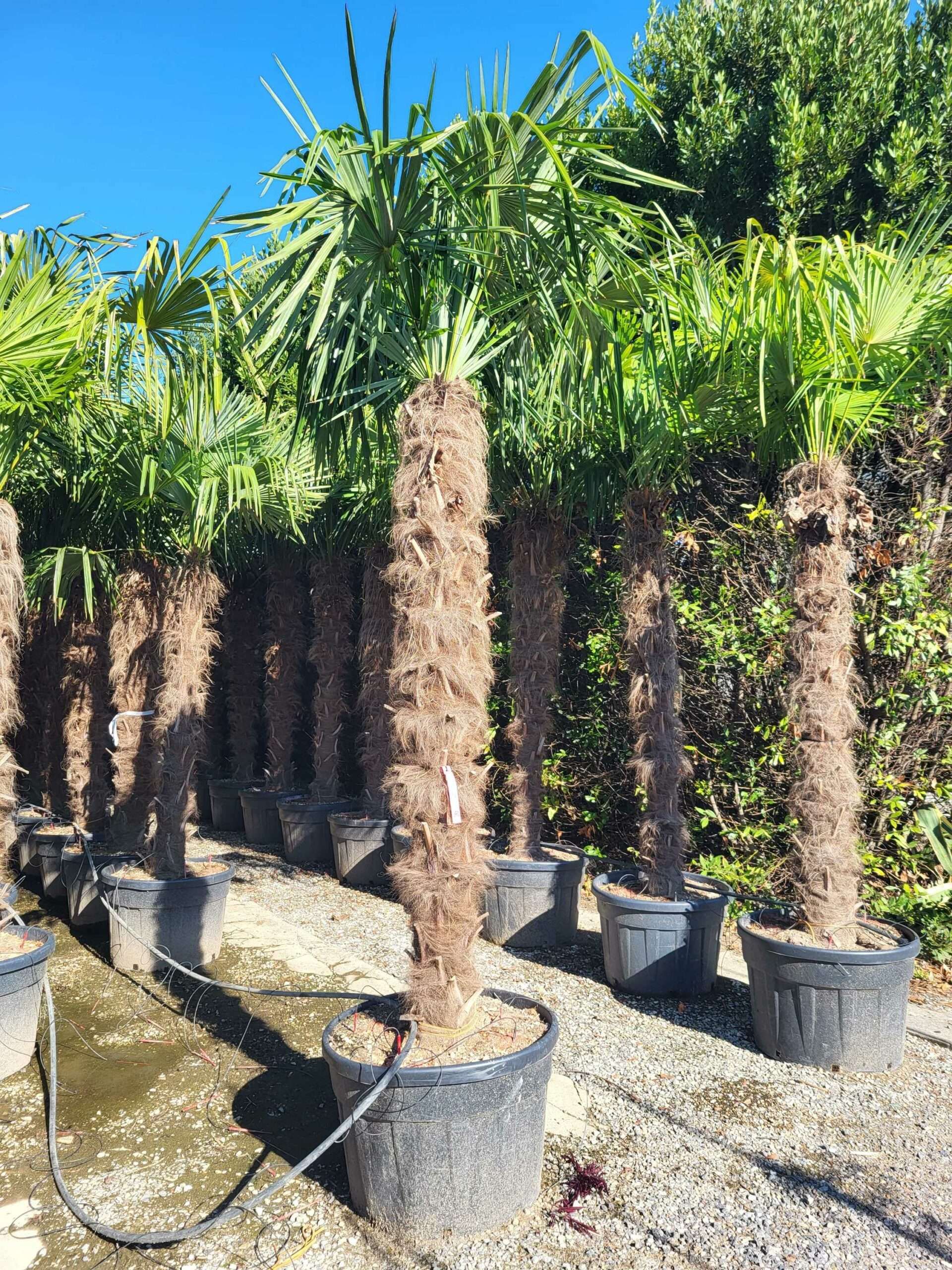 1691479021 scaled ac344aff