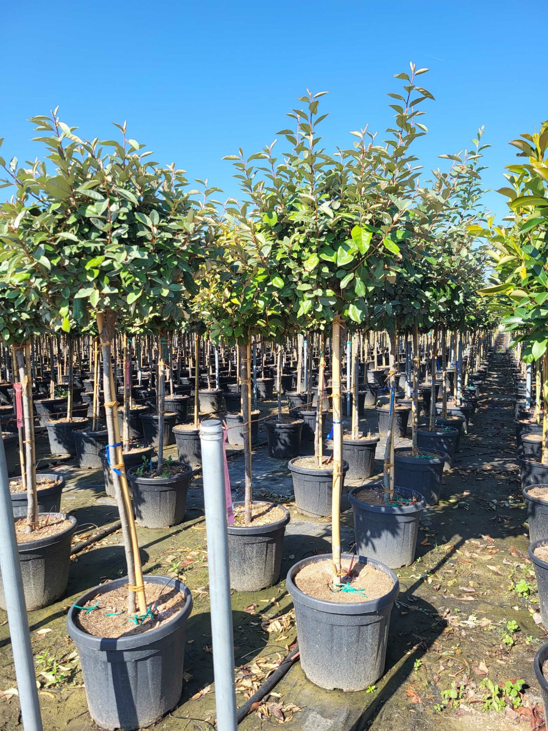 1692691267 scaled acf5506e