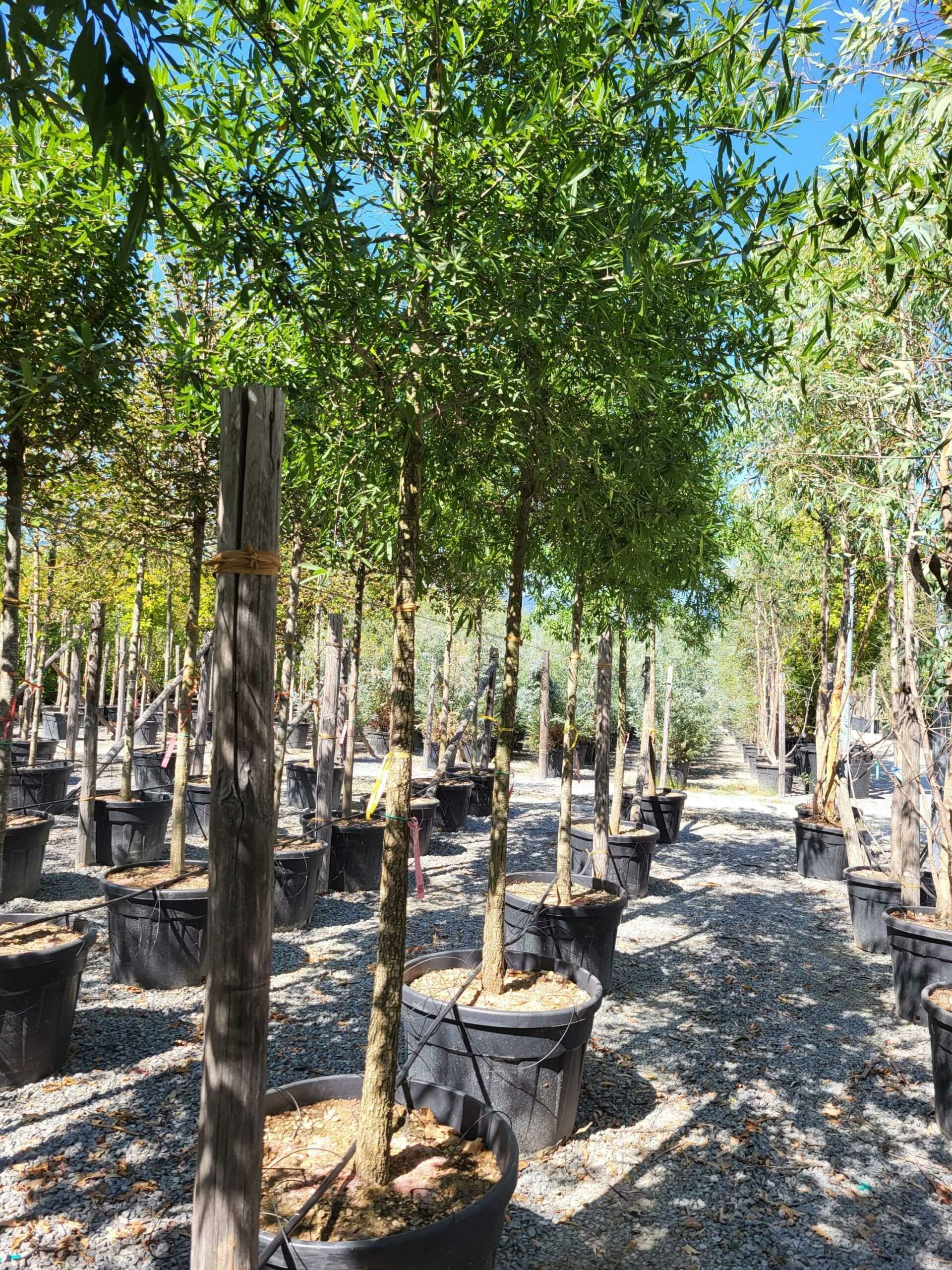 1692797400 scaled ac9c74d0