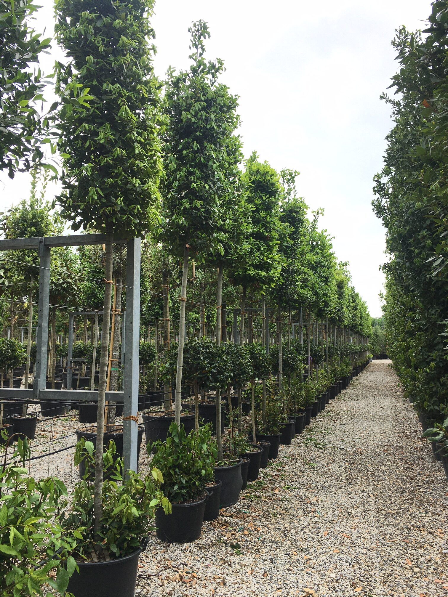 1608657489 rotated ada7bb5a