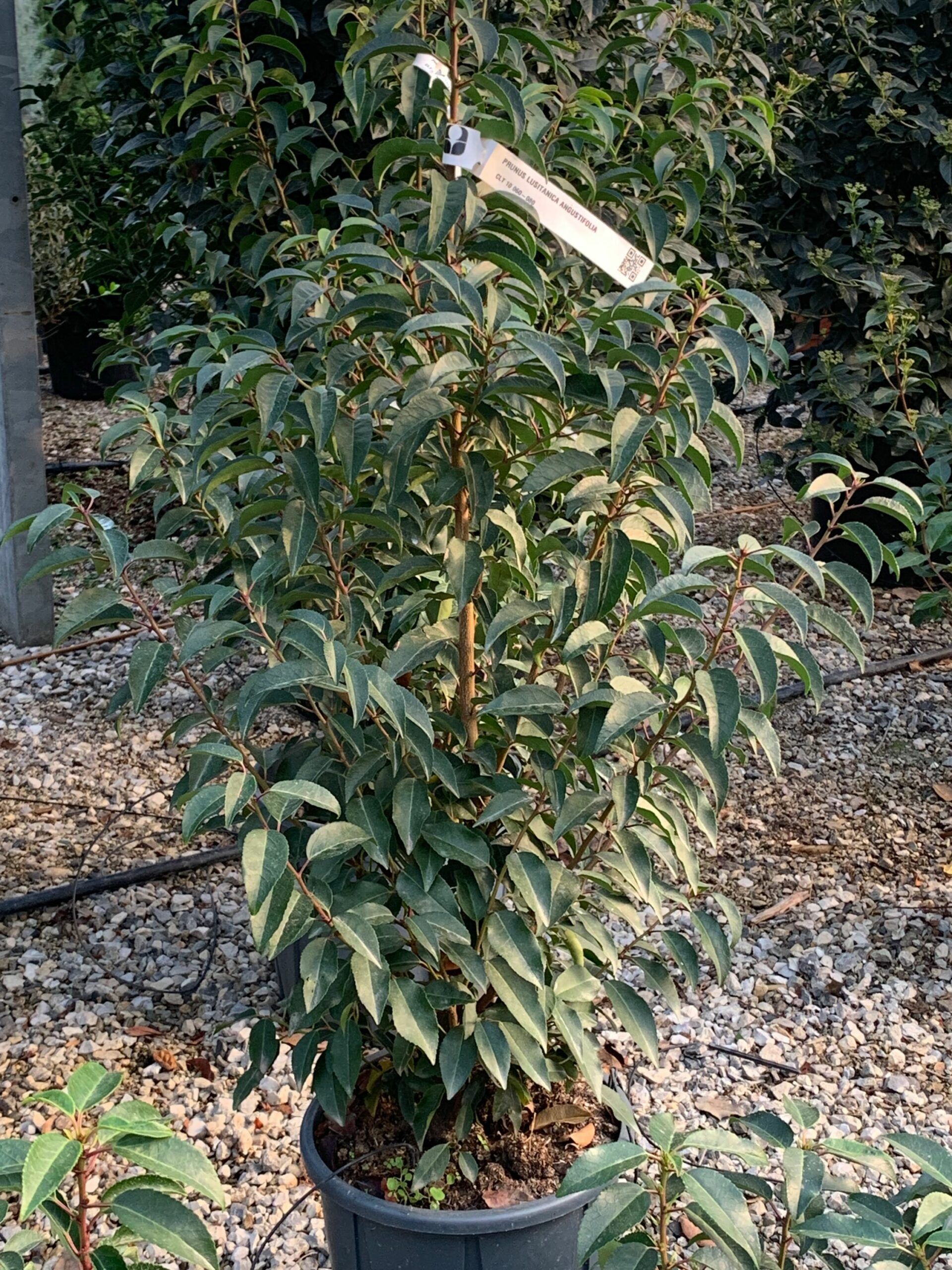 1637243935 scaled aded29eb