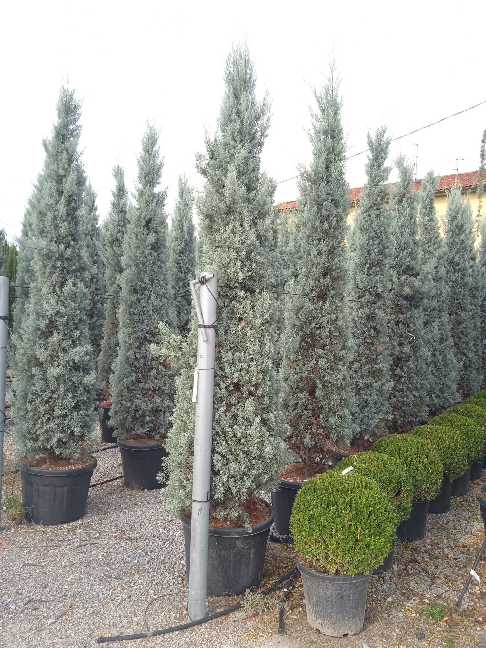 1662017424 scaled ad88c1e8