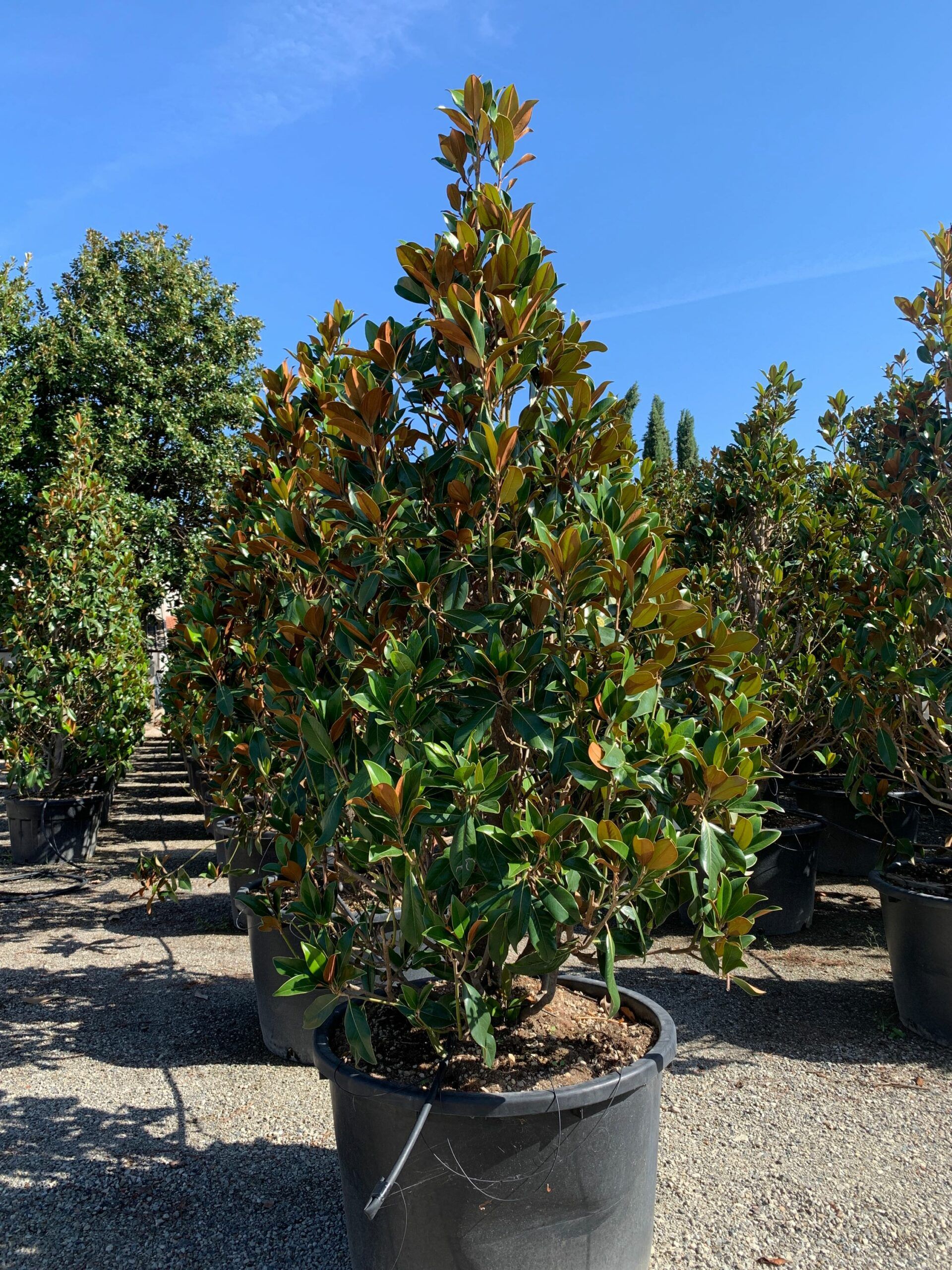 1662453412 scaled ad54f8de