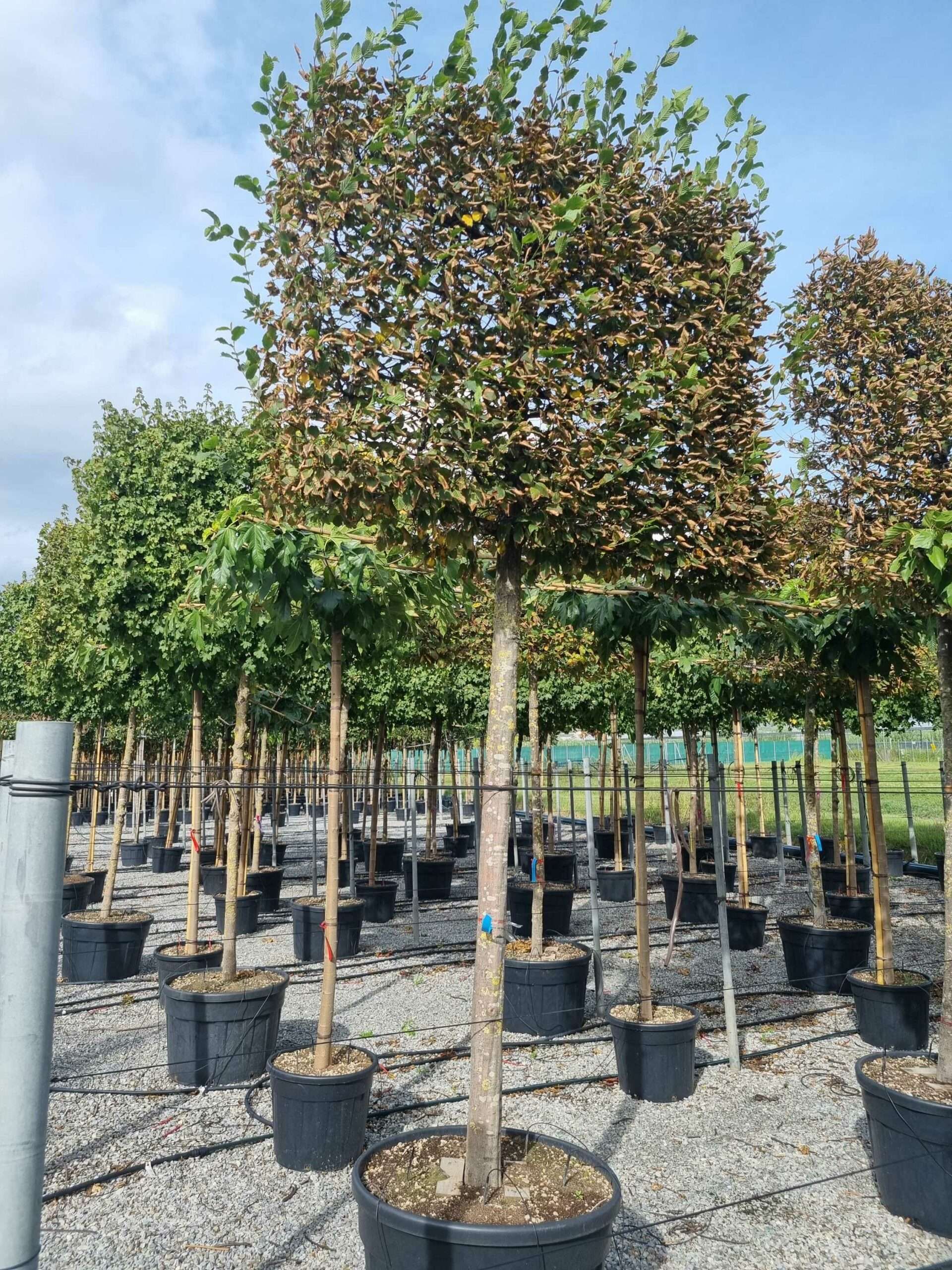 1664458681 scaled ad02be51