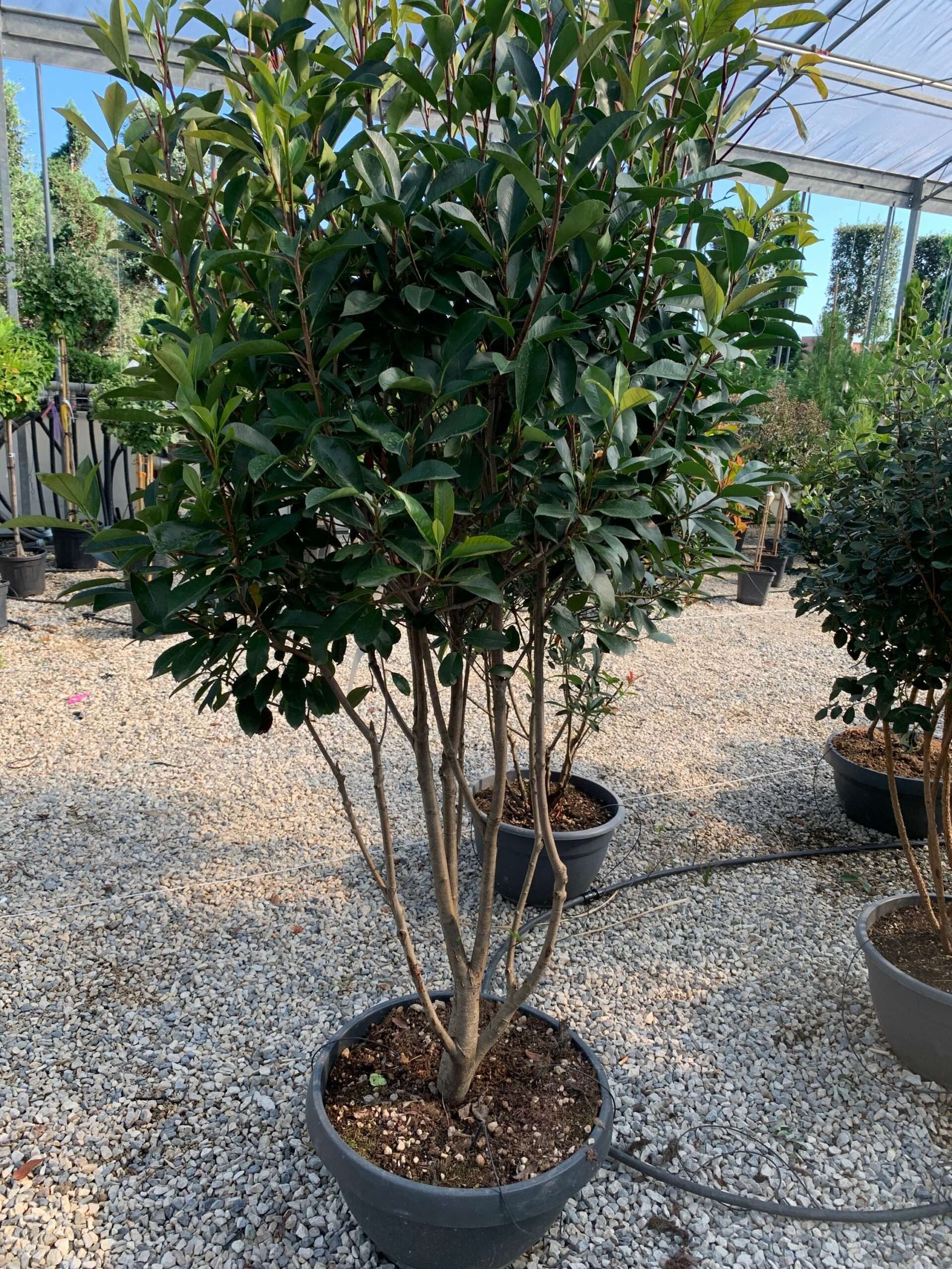 1632834720 scaled aeb5c0b4