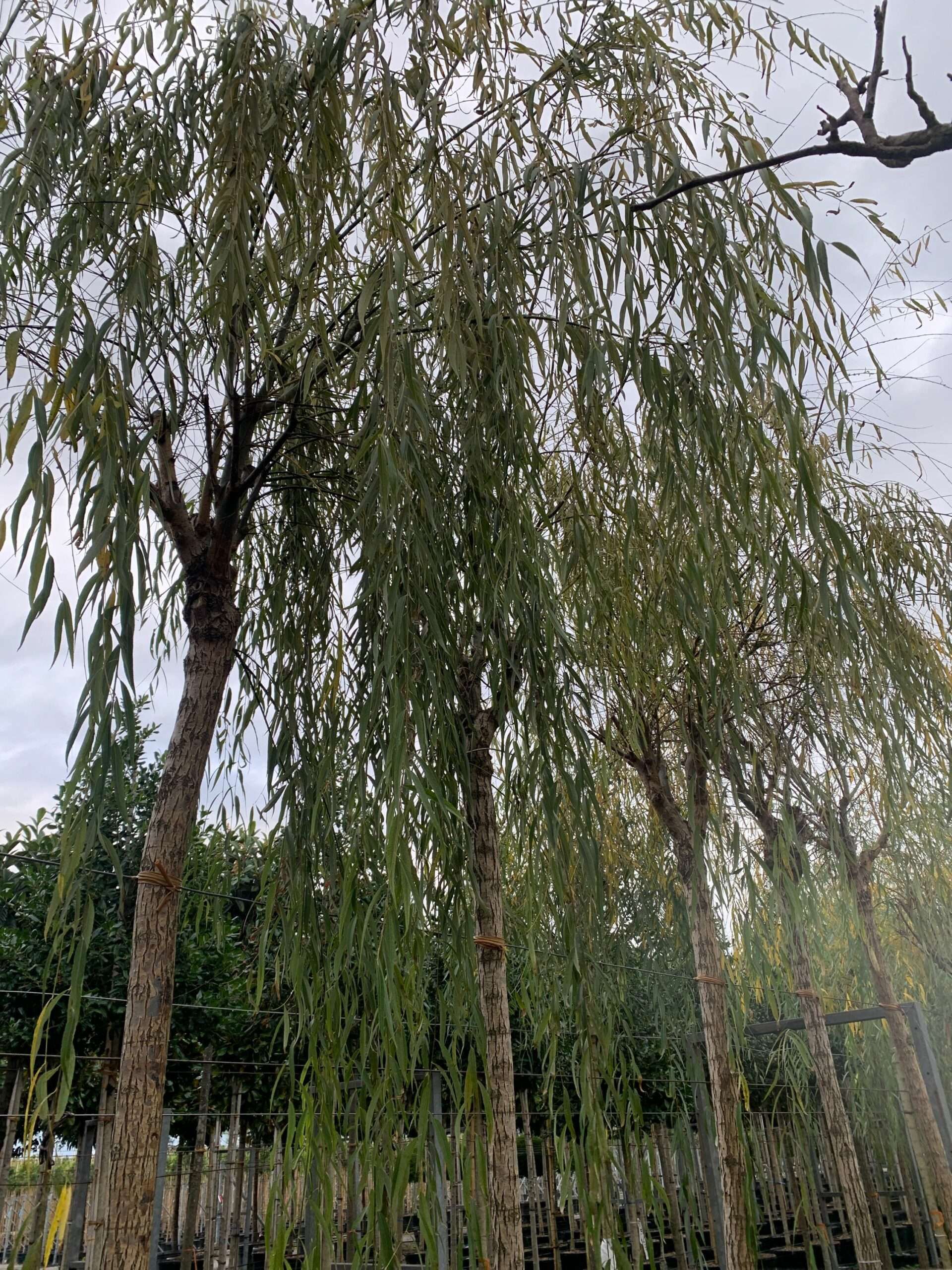 1636618702 scaled ae7e2f87