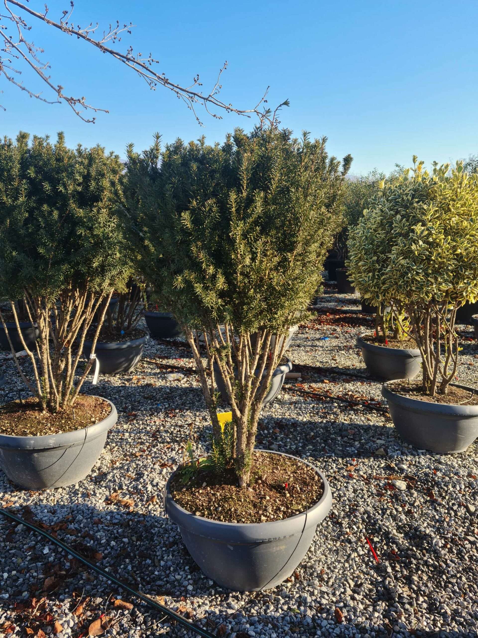 1639817181 scaled ae41c090