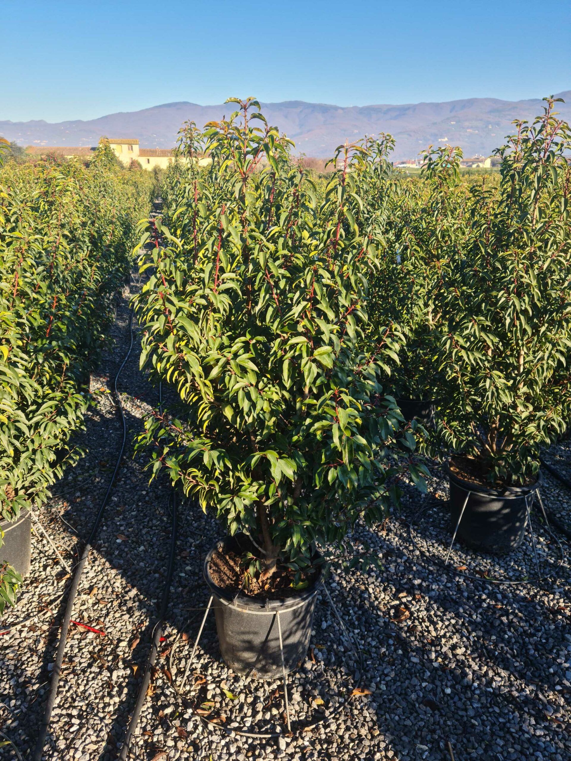 1639818091 scaled ae91a609