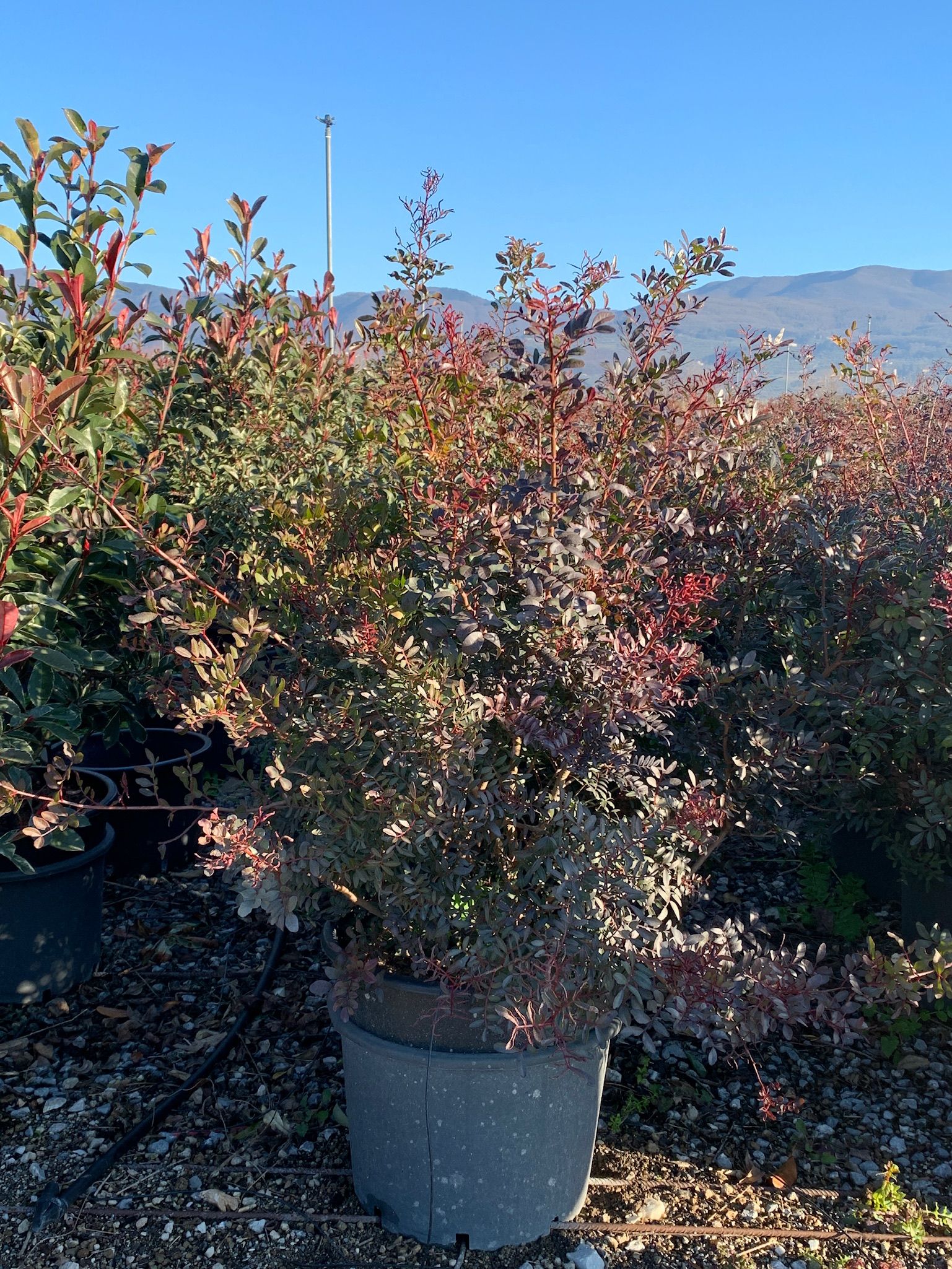 1643127180 012ac0eb2336f3cd20d90d44b539f80032ec1fd932 aeb11d35