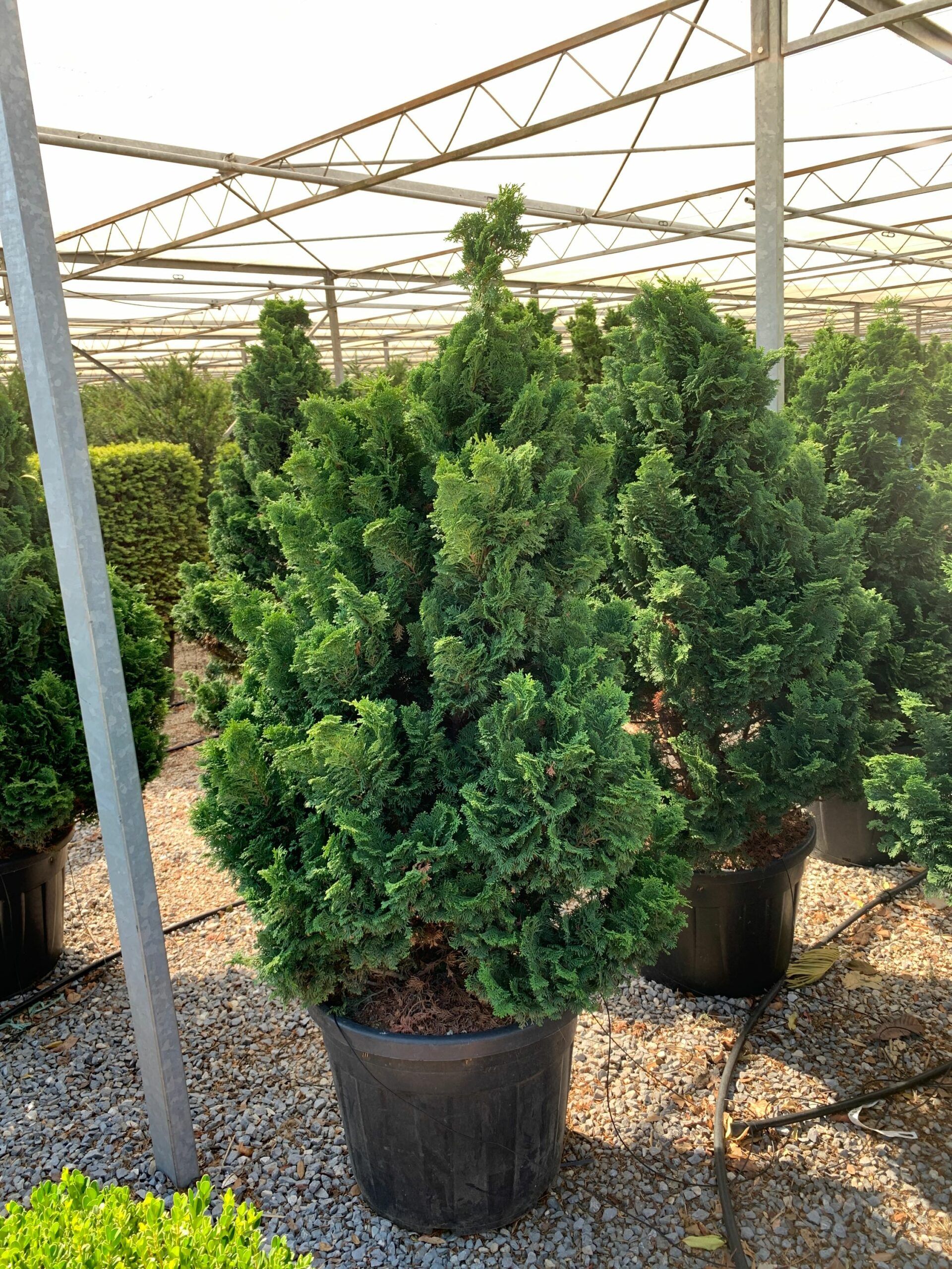 1657526183 scaled ae85d8ac