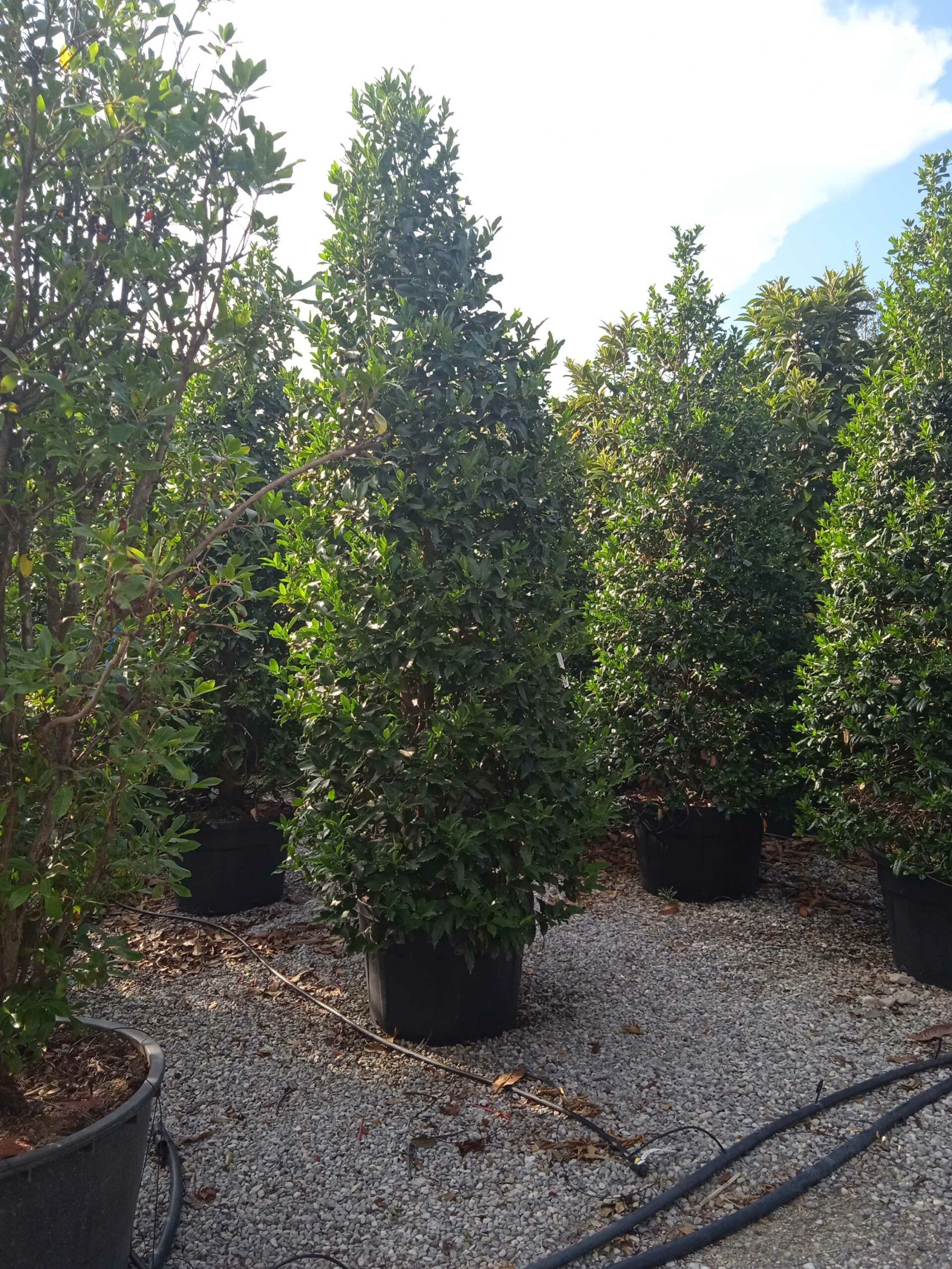 1661787006 scaled aec2ff89