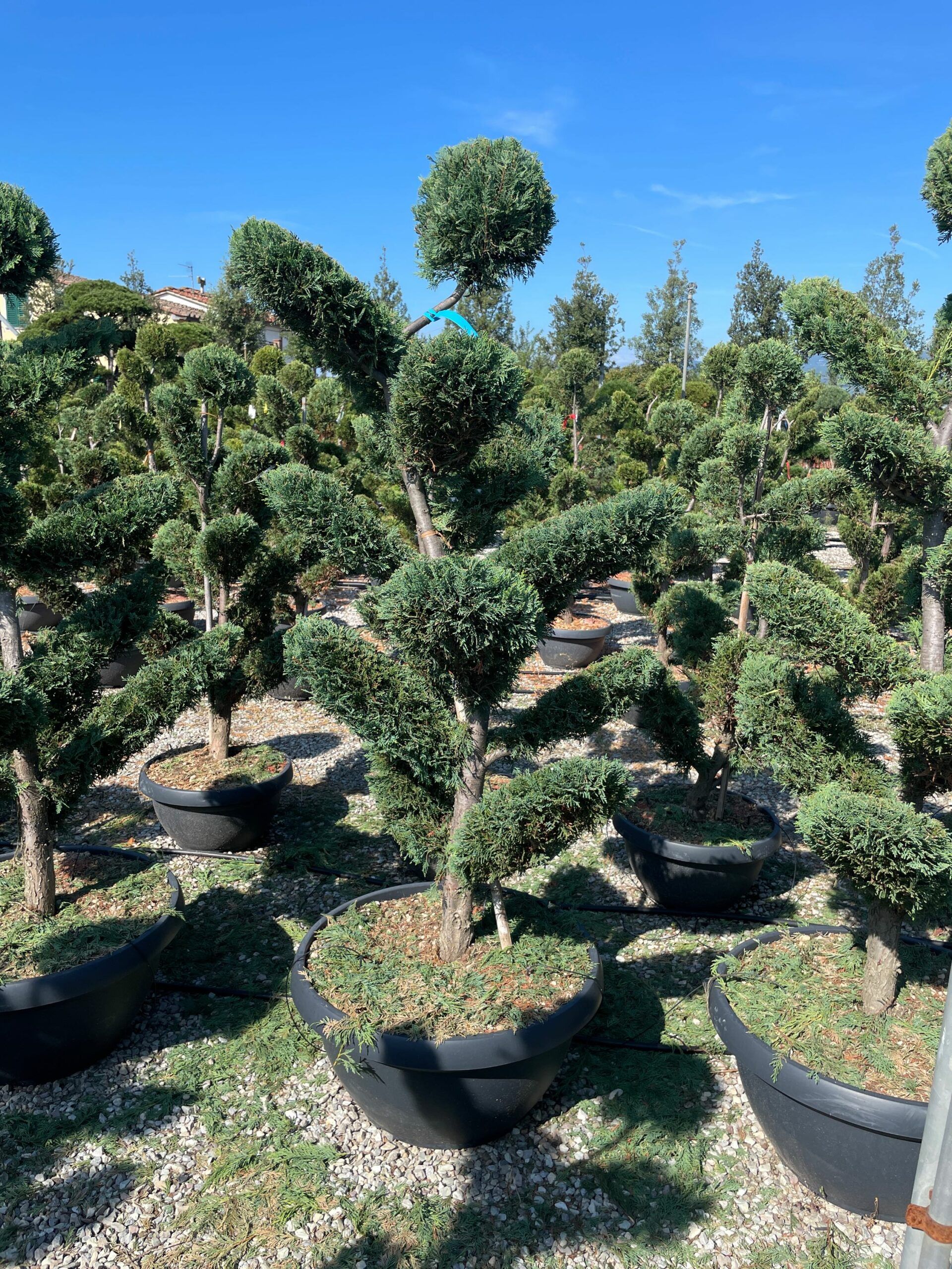 1662108146 scaled ae678afe