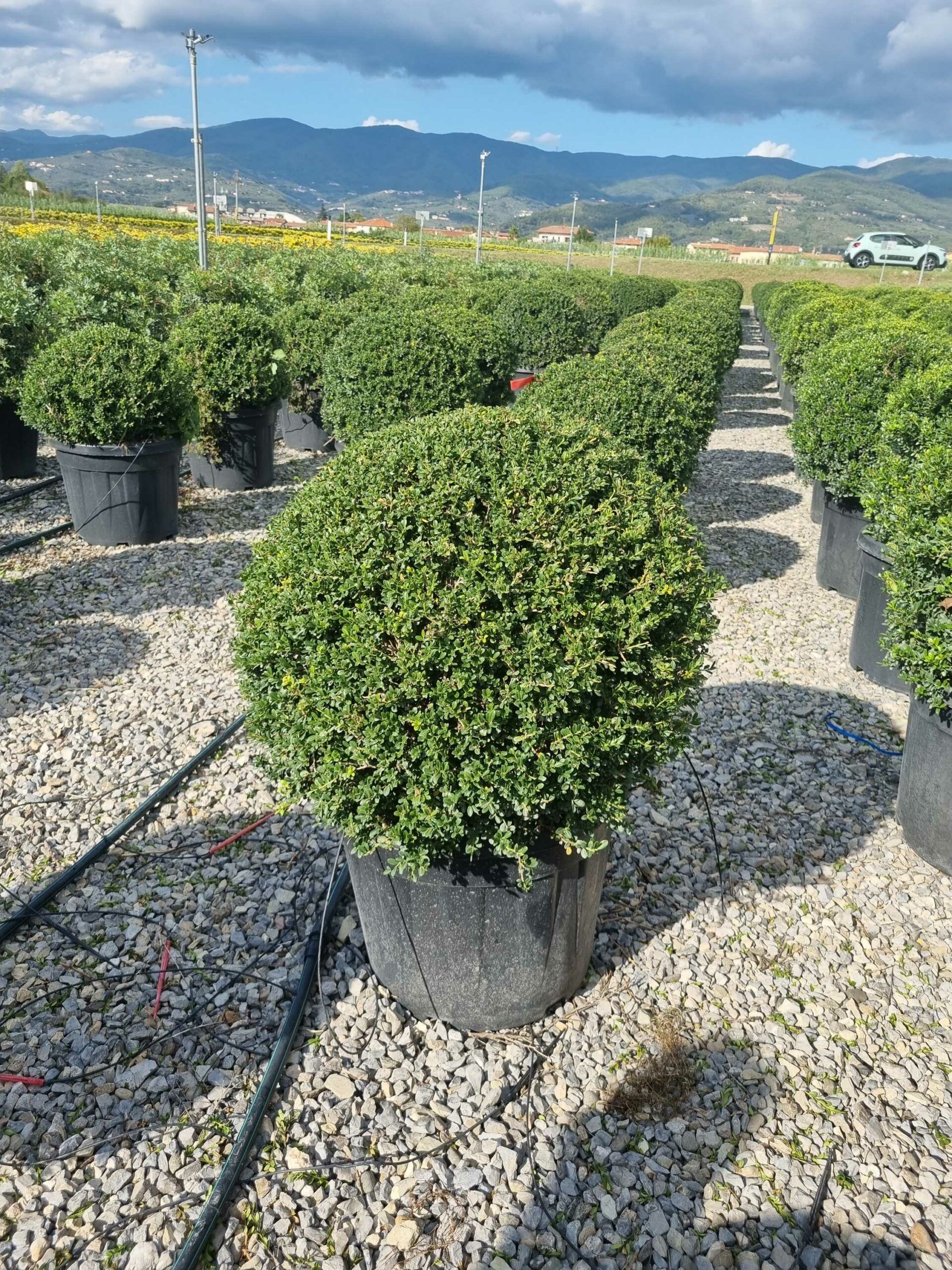 1663596873 scaled ae929adb