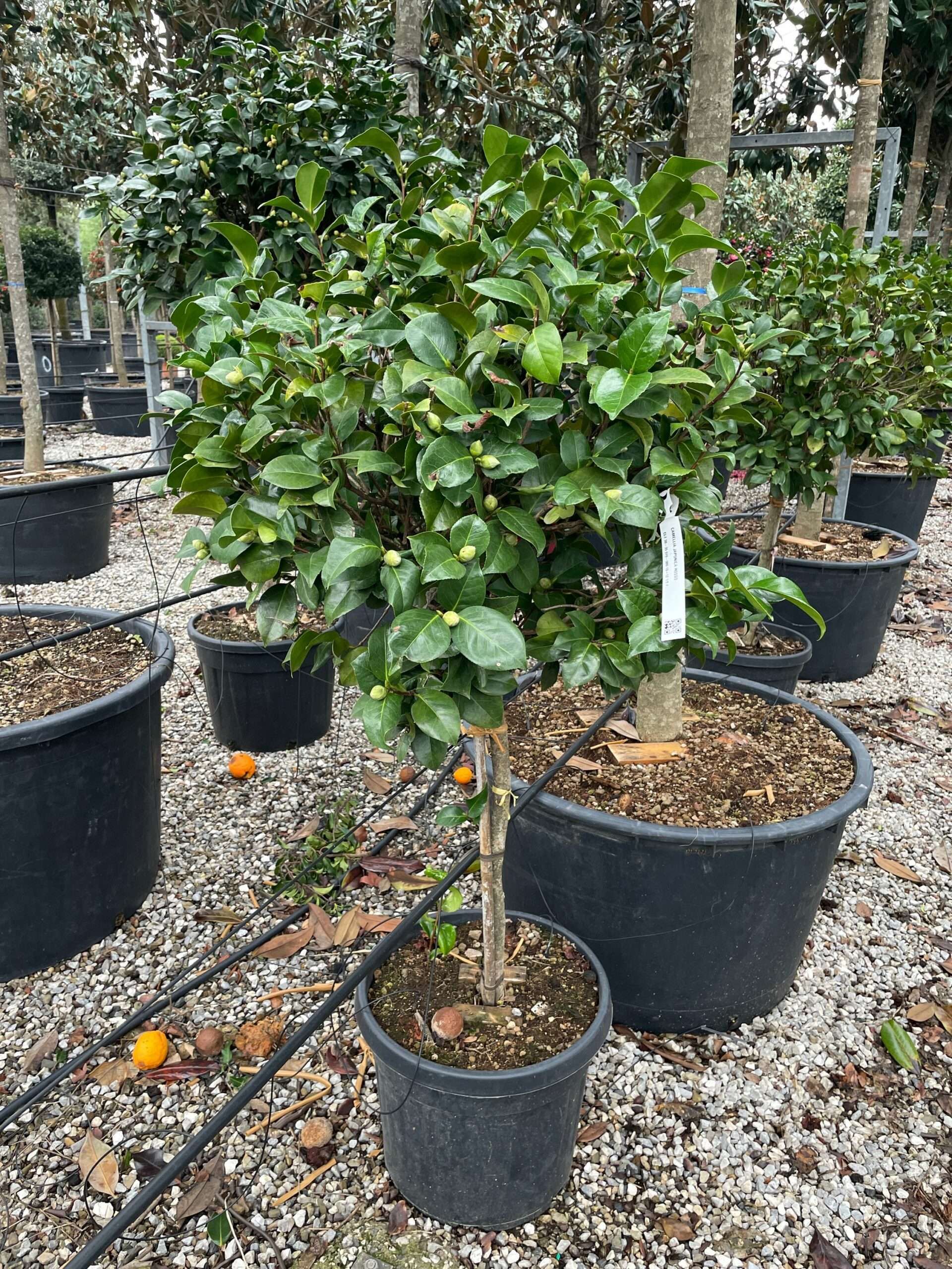 1671457064 scaled ae7b9cbd