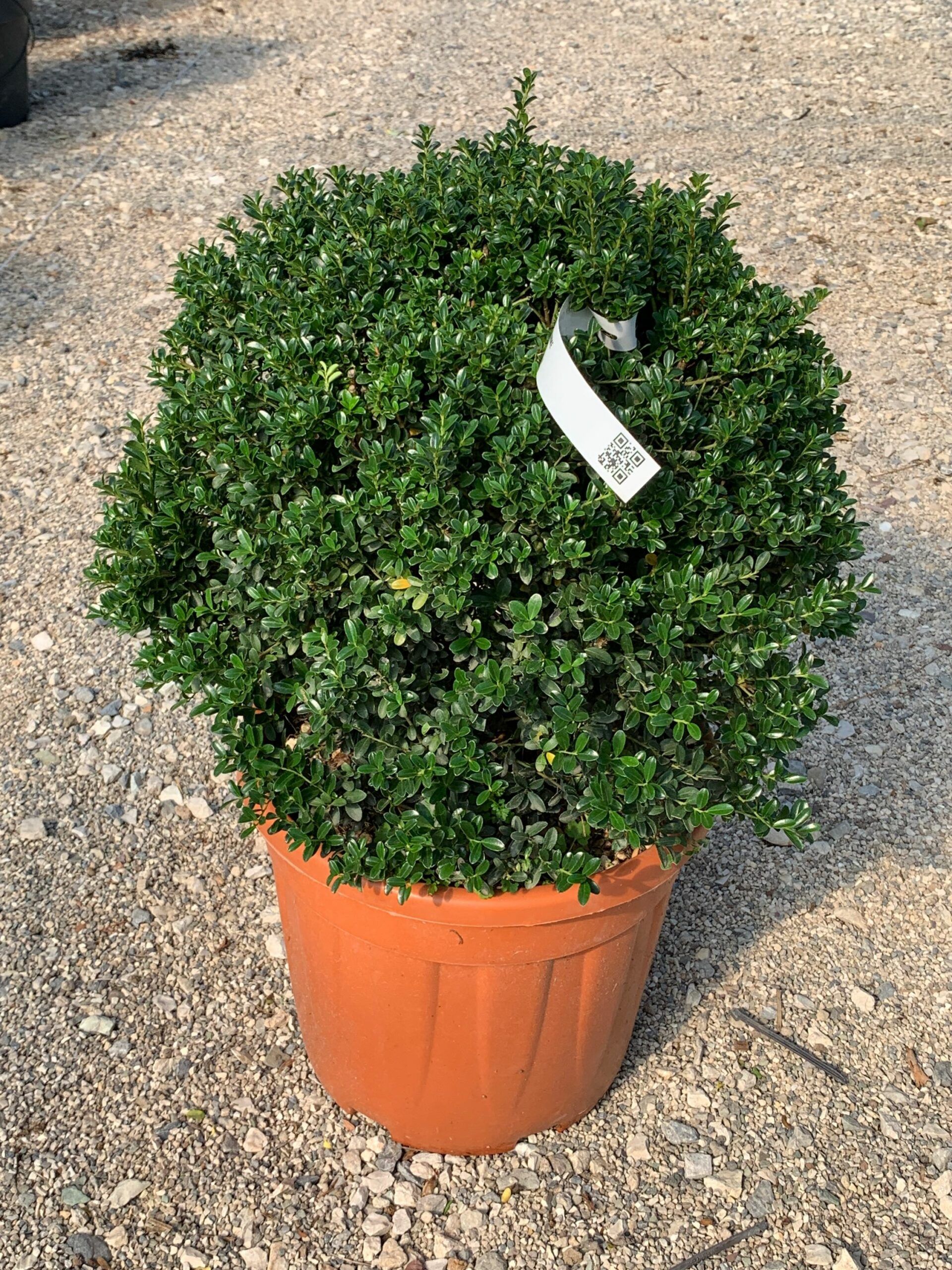 1632834259 scaled af497e53