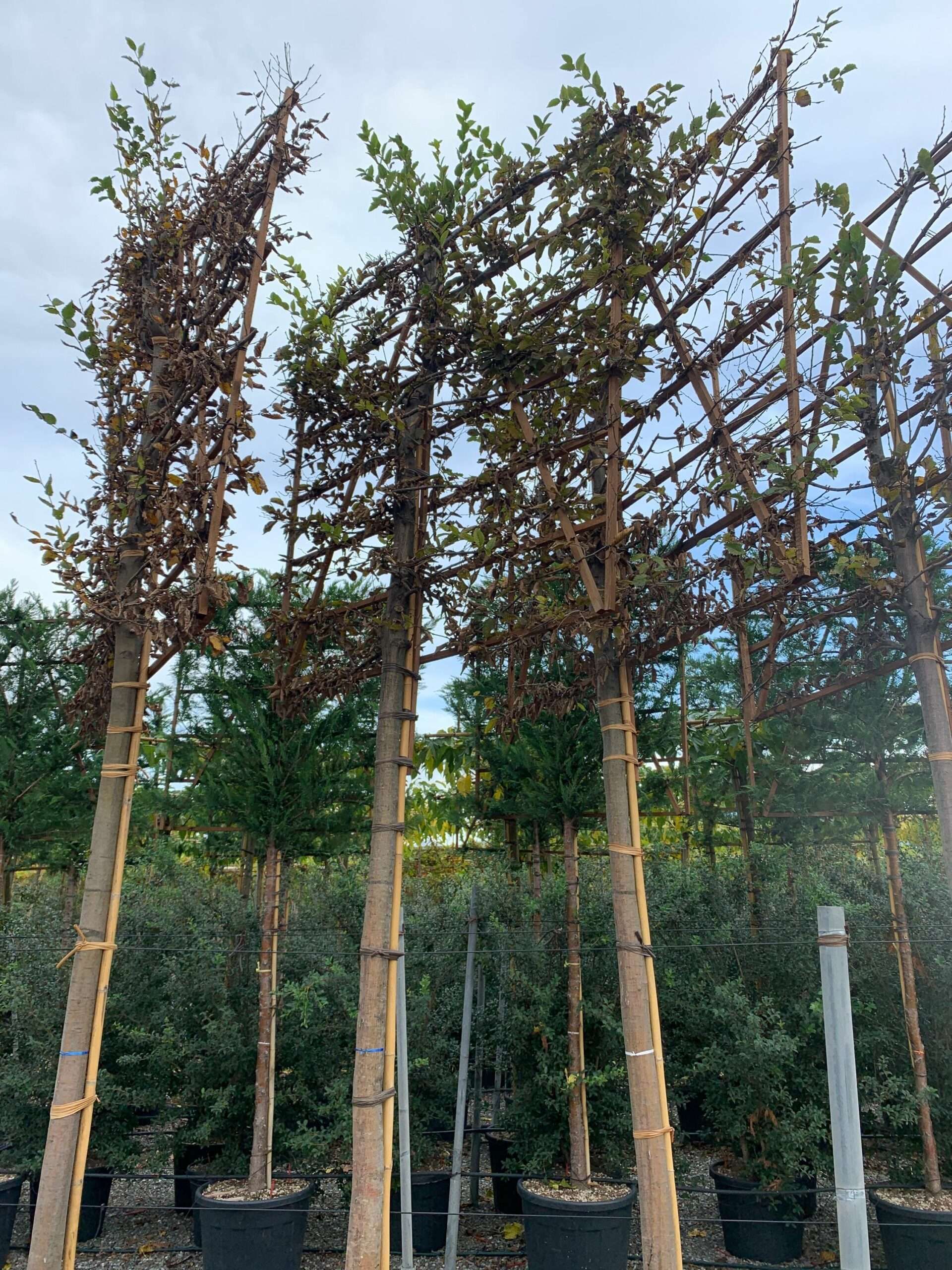 1636536573 scaled afa16fb4