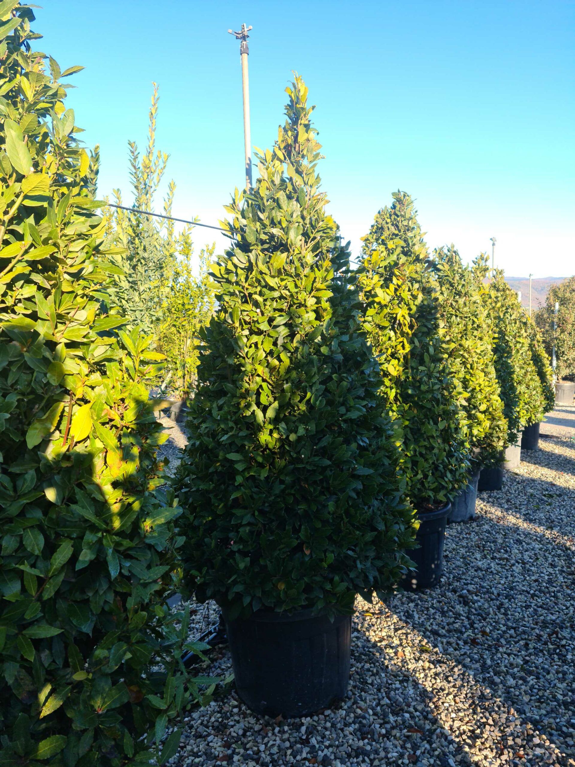 1639728917 scaled afc43b44