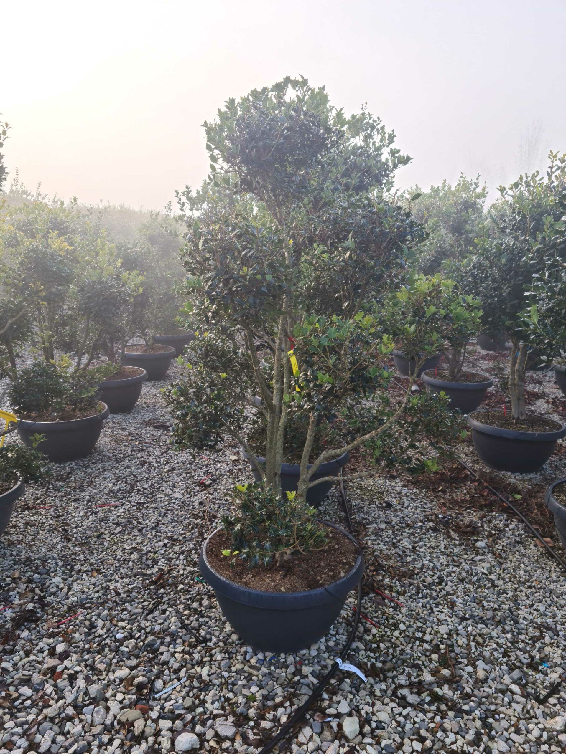 1642753273 scaled af3e688a