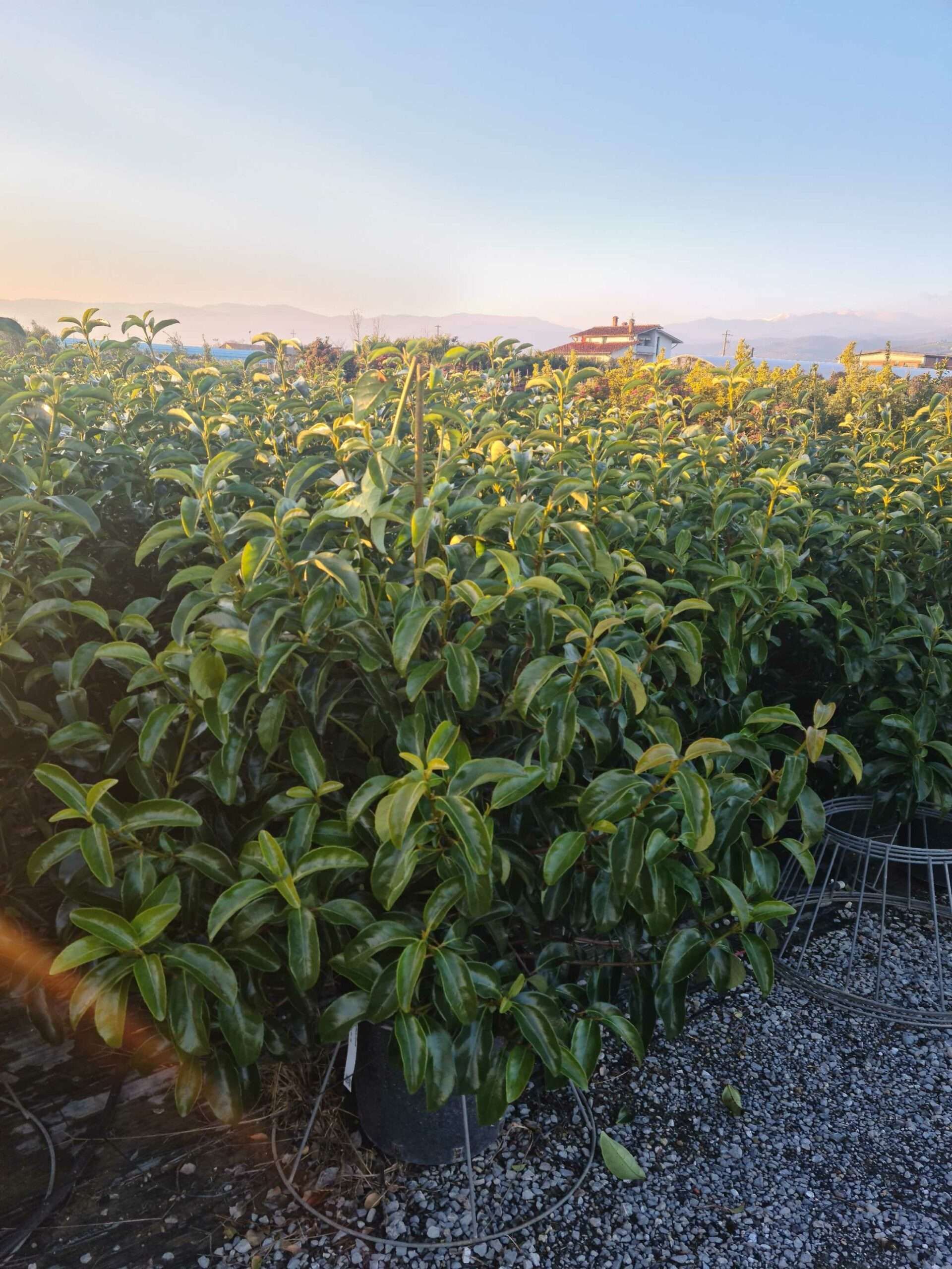 1642778834 scaled af806c3d