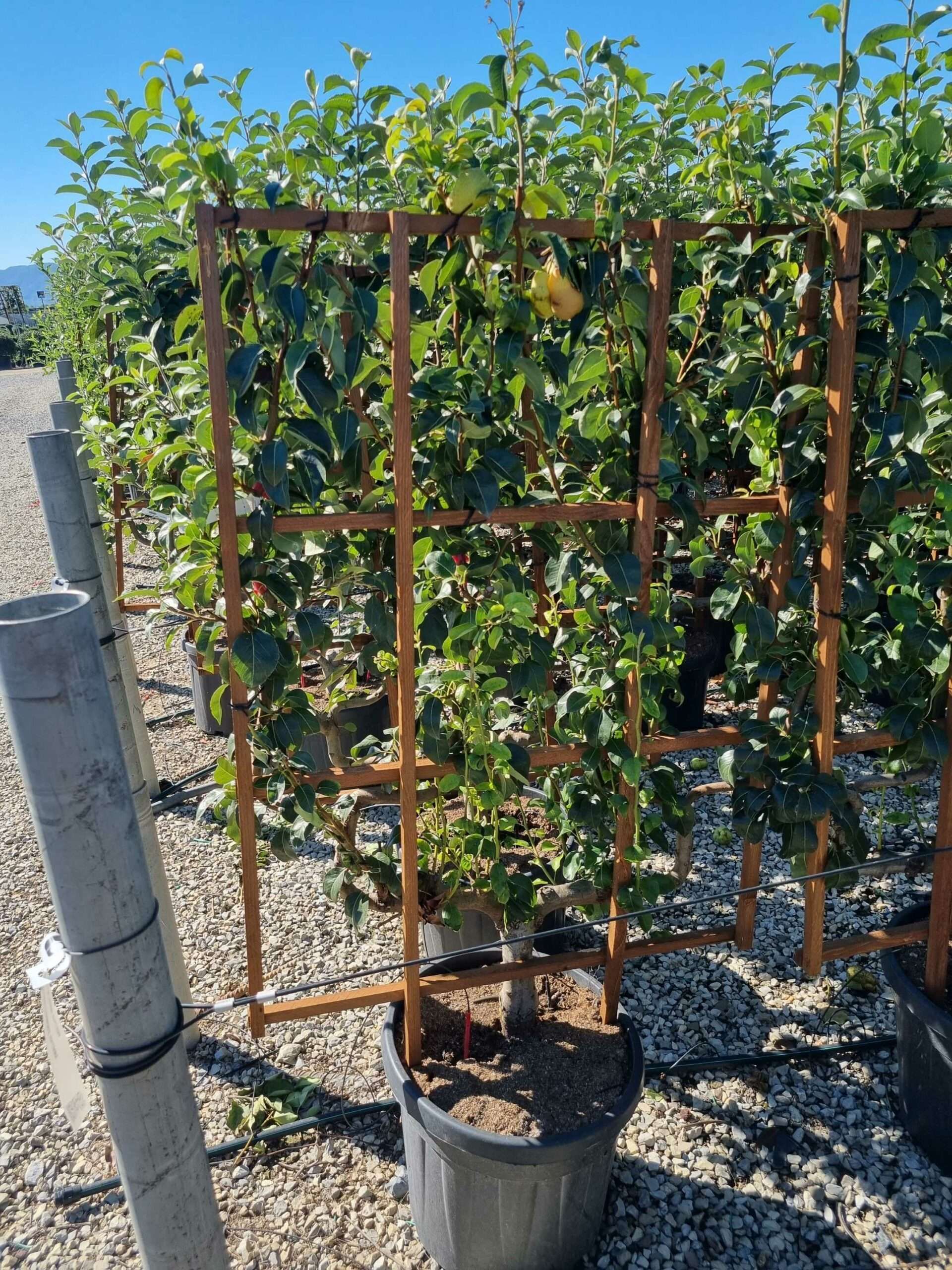 1663665377 scaled afbf6607