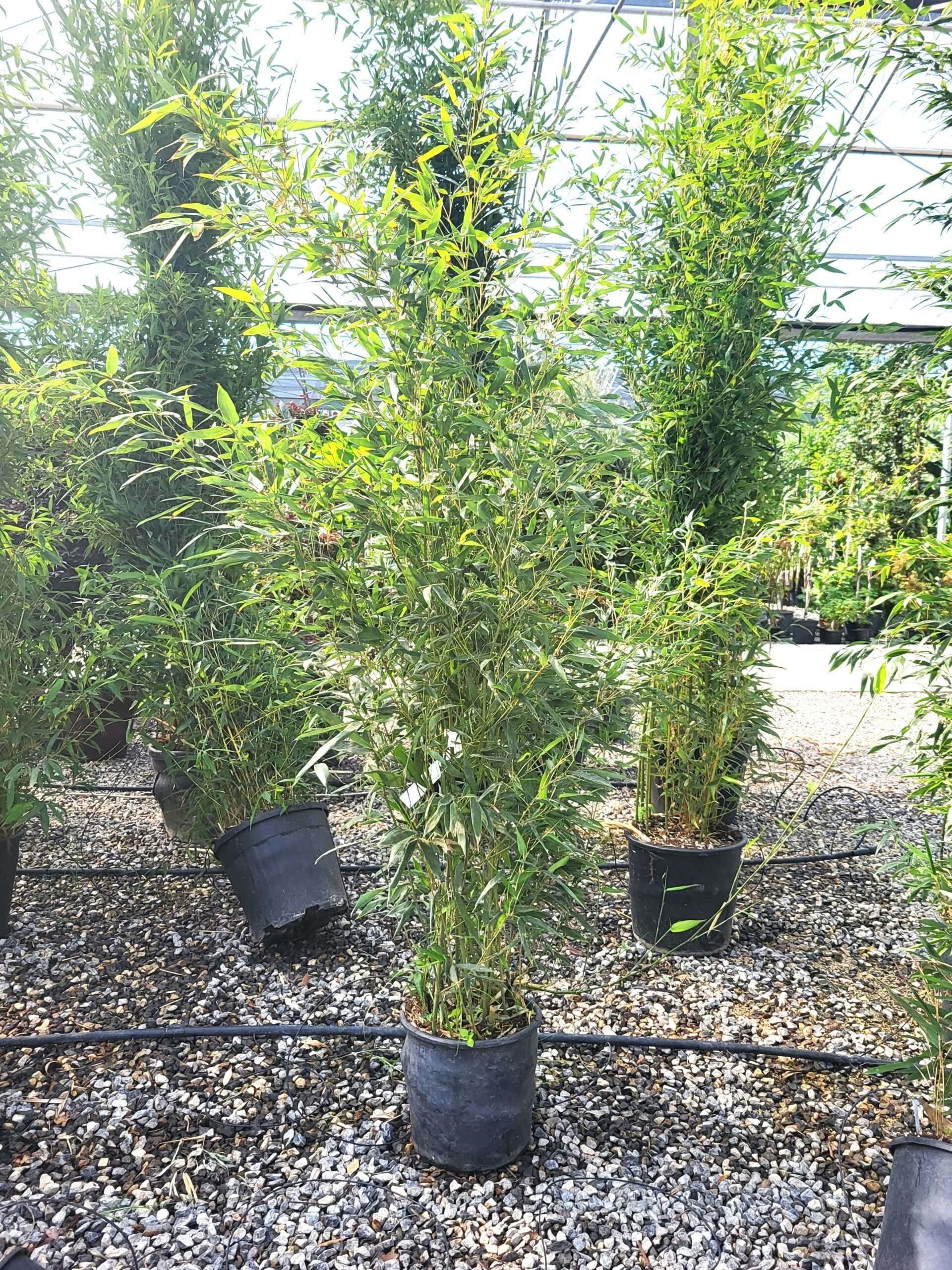 1696326877 scaled afc3fbf6