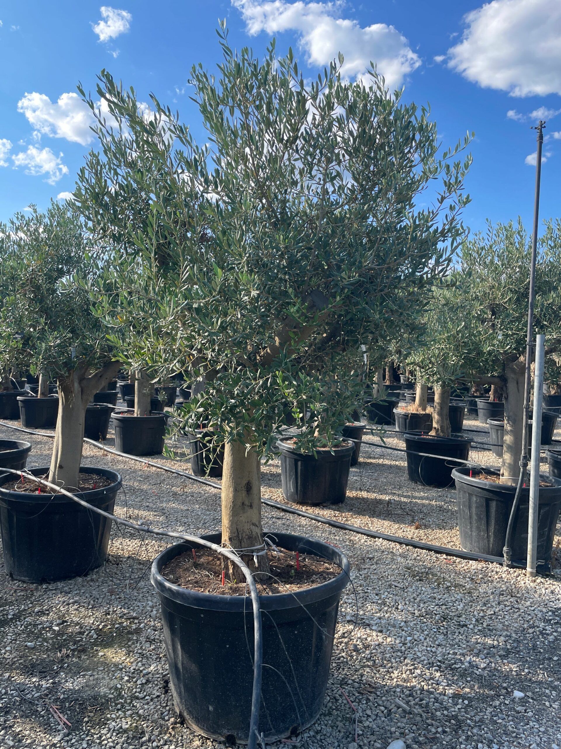 1630595496 scaled b06f462d