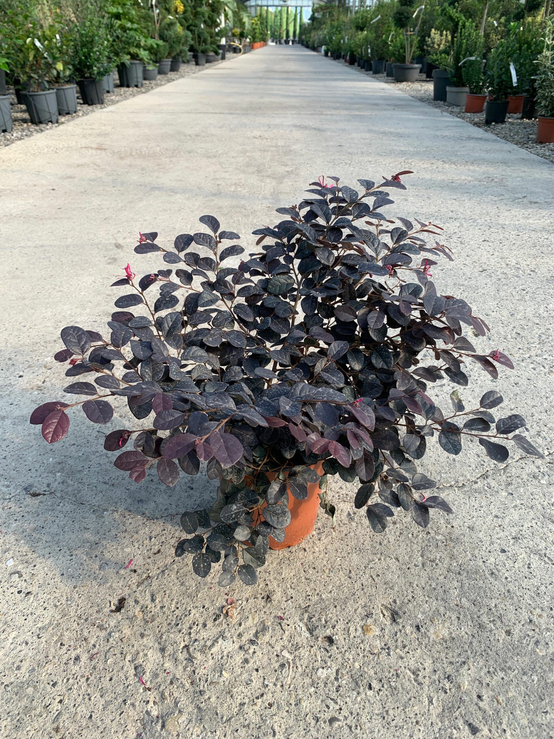 1632814730 scaled b00bb3b4