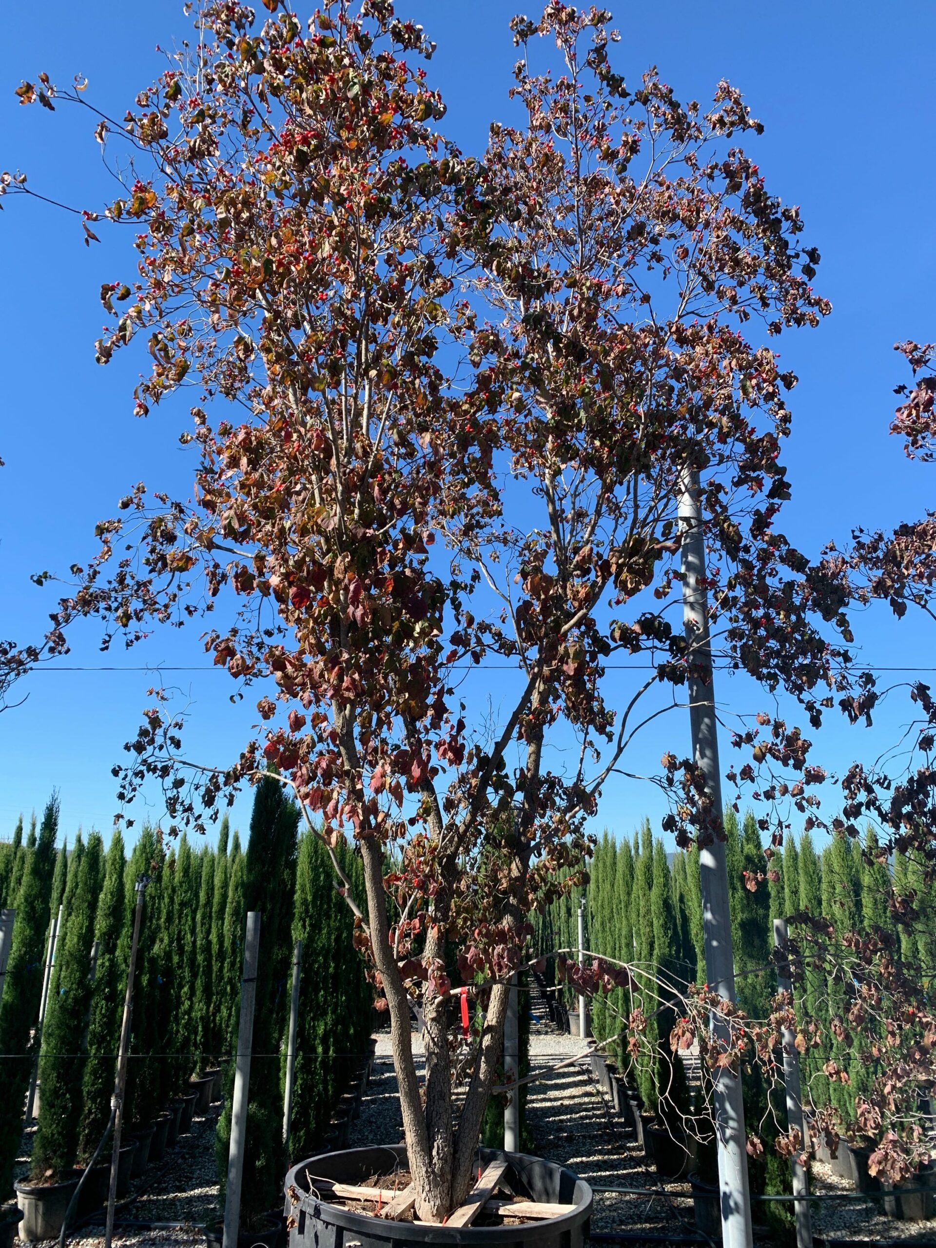 1634290391 scaled b0be7f68