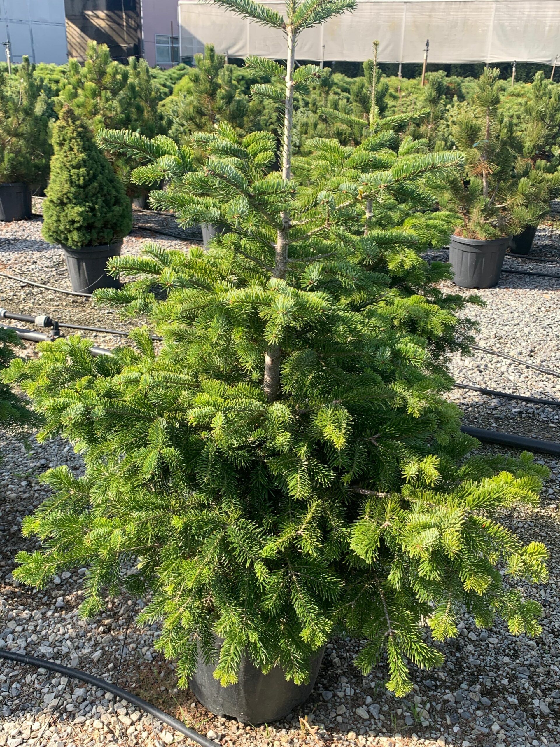 1635502081 scaled b08c7b46