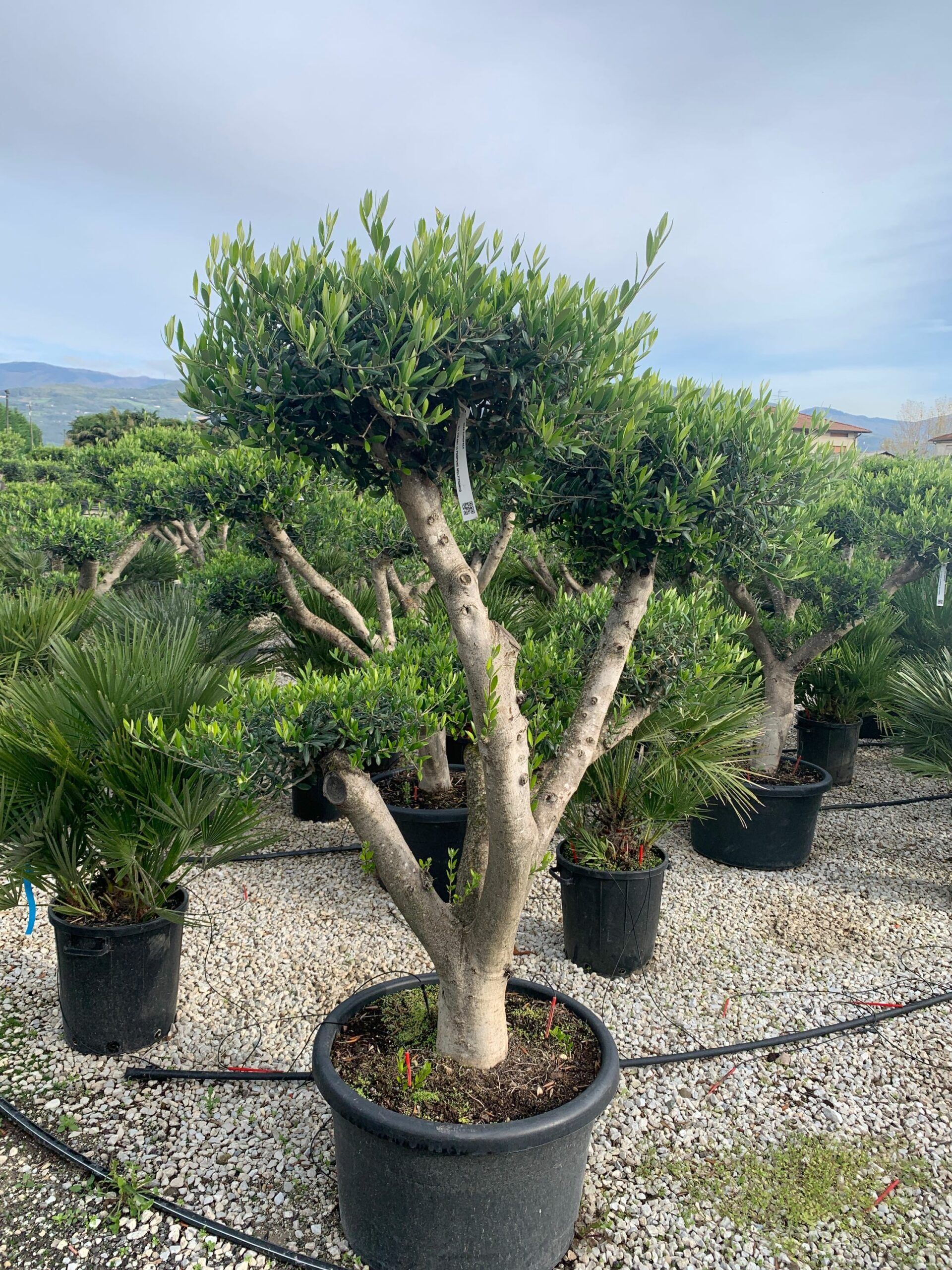 1636100965 scaled b05d9322