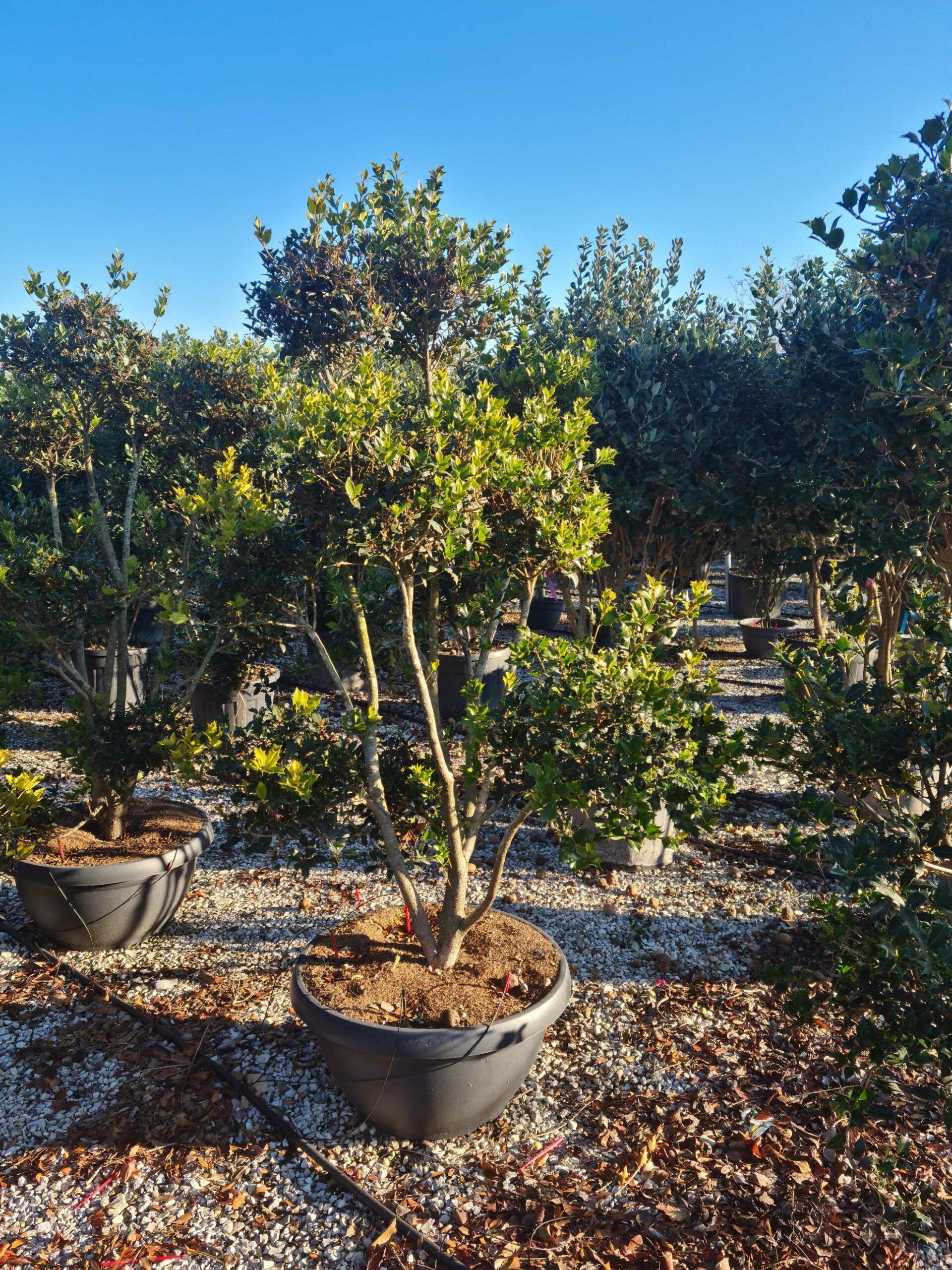 1639816957 scaled b0eb153b