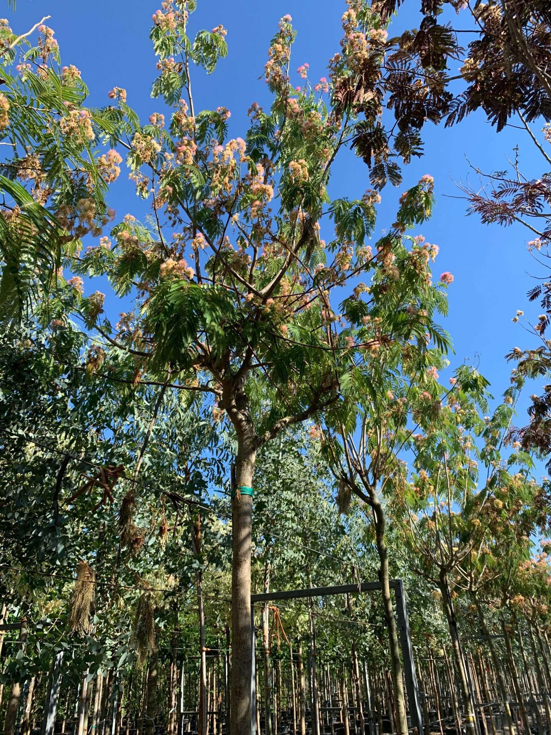 1657898621 scaled b0eb67cc