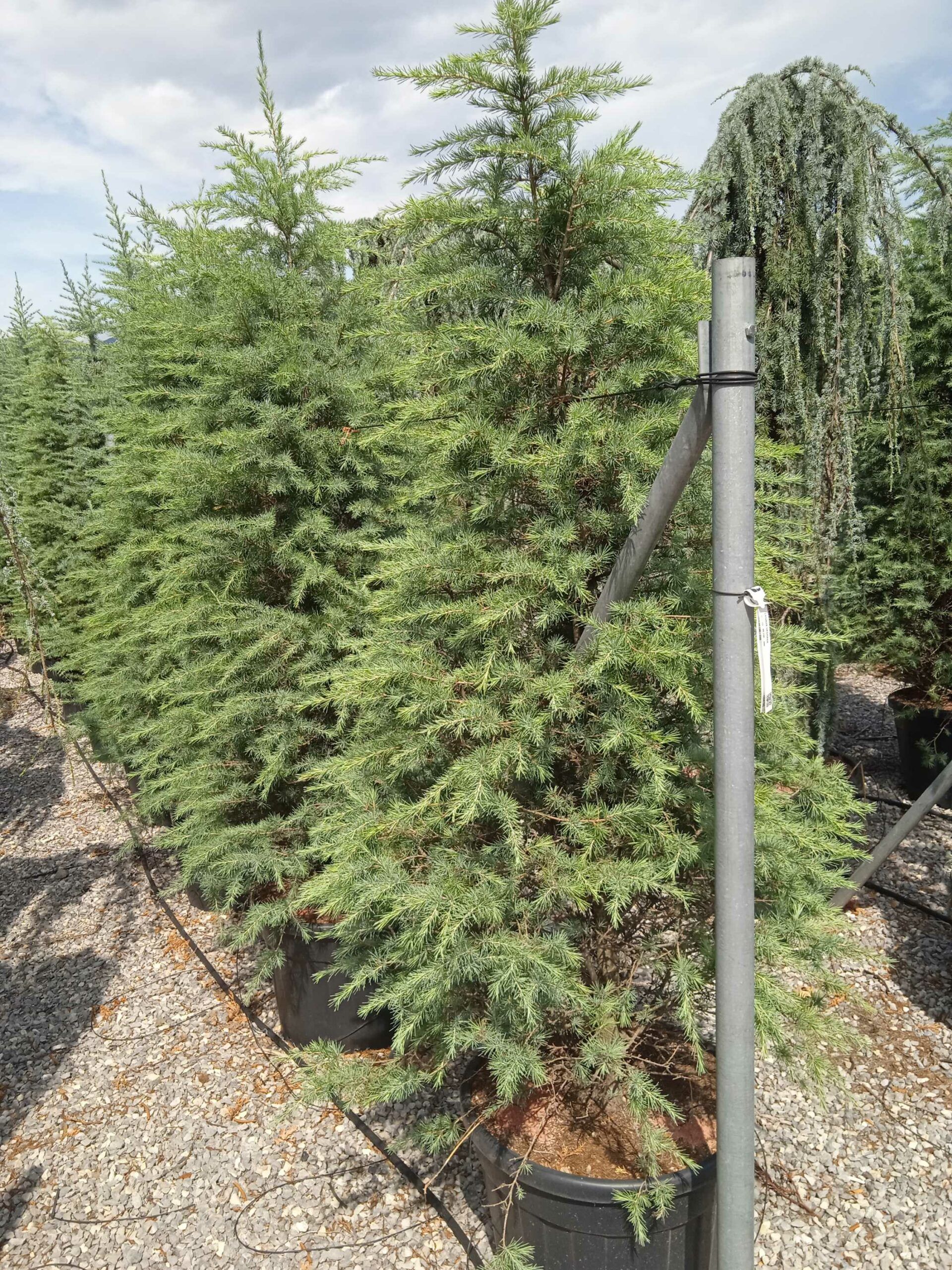 1662035694 scaled b093c8a2