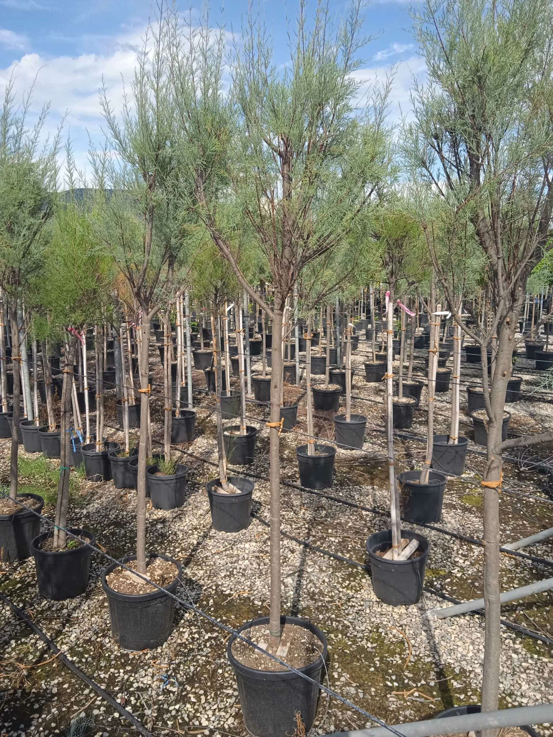 1662040968 scaled b076e27e