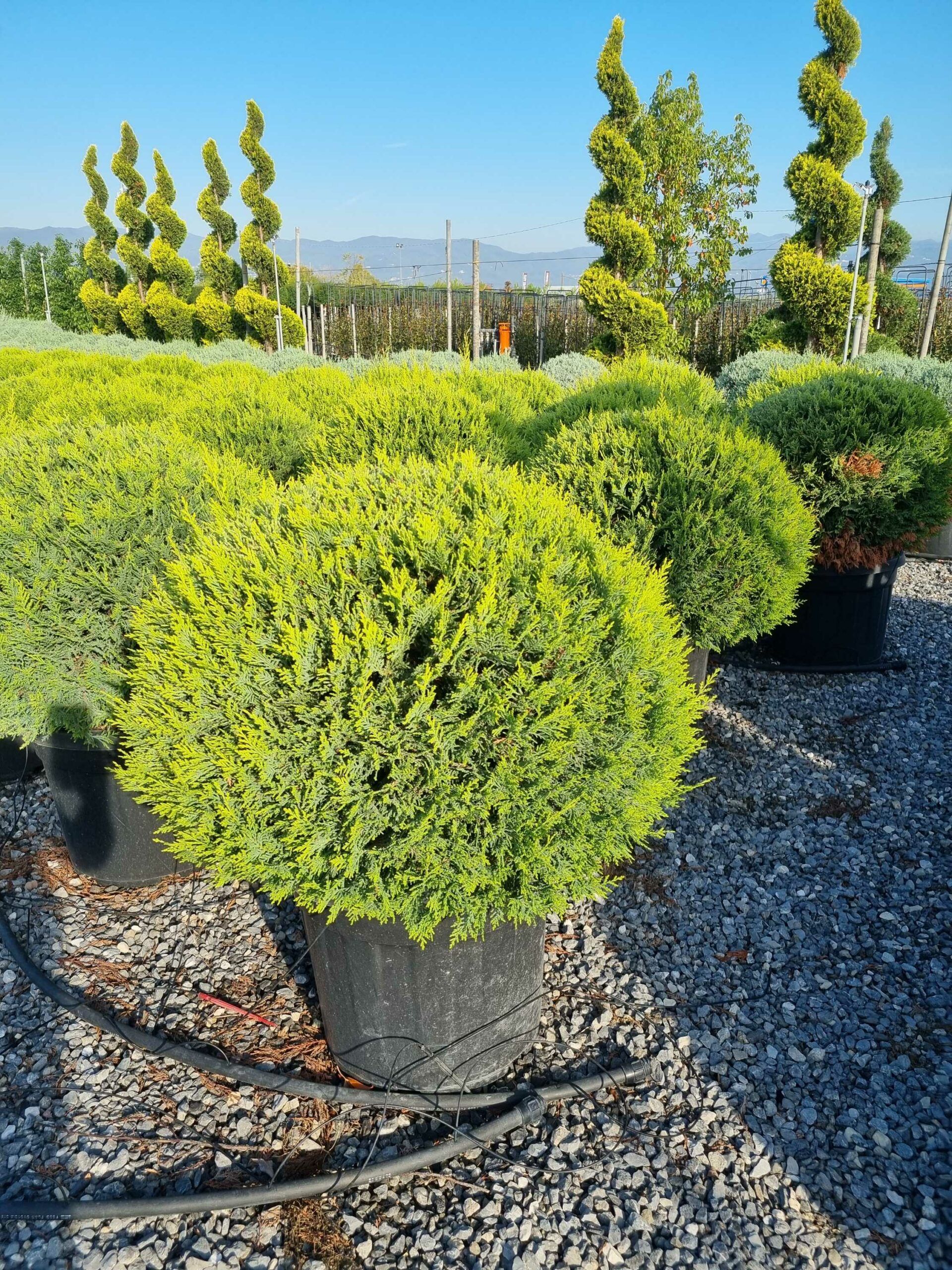 1665128023 scaled b0223c2e