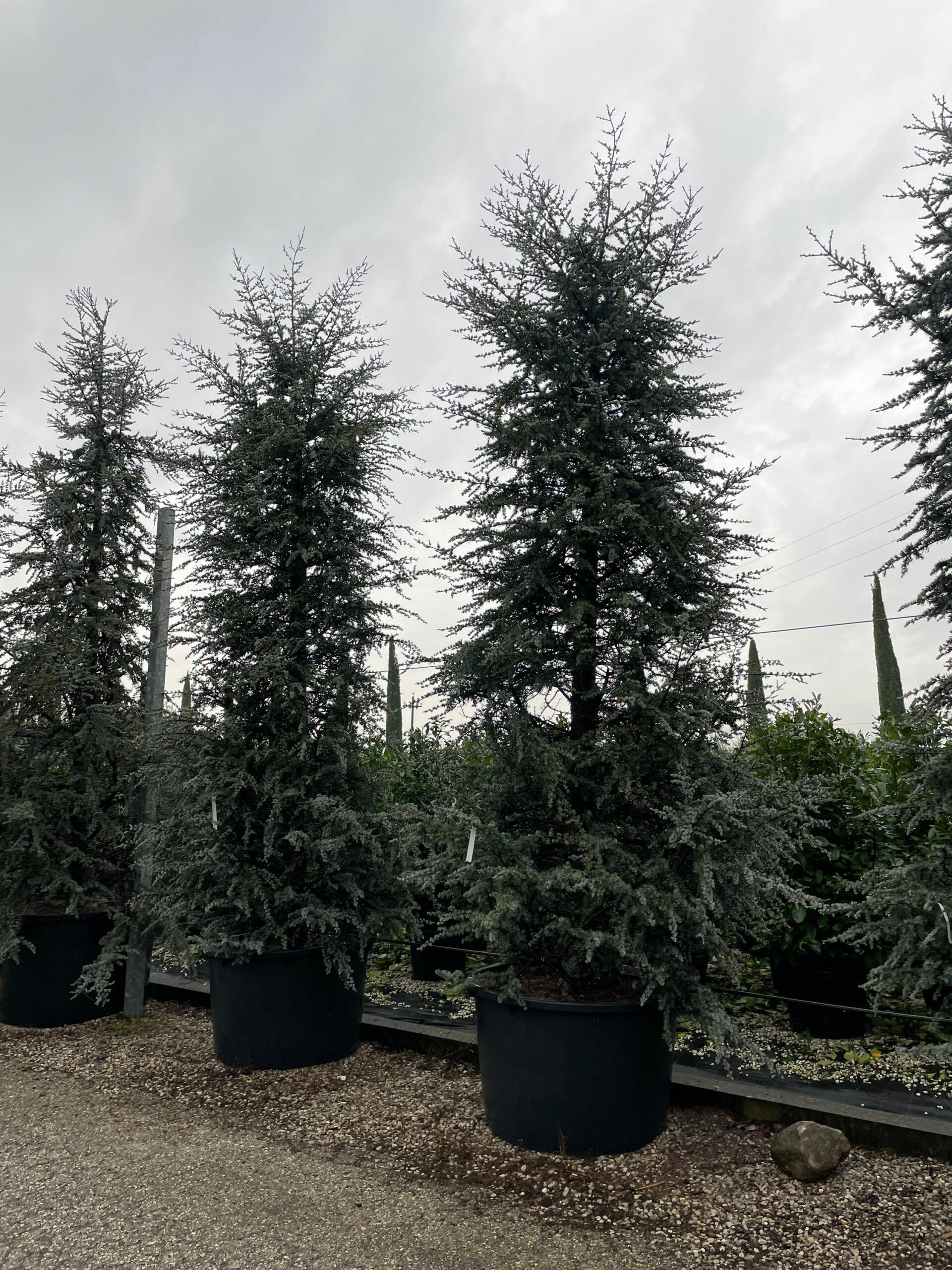 1670578046 scaled b087ab4d