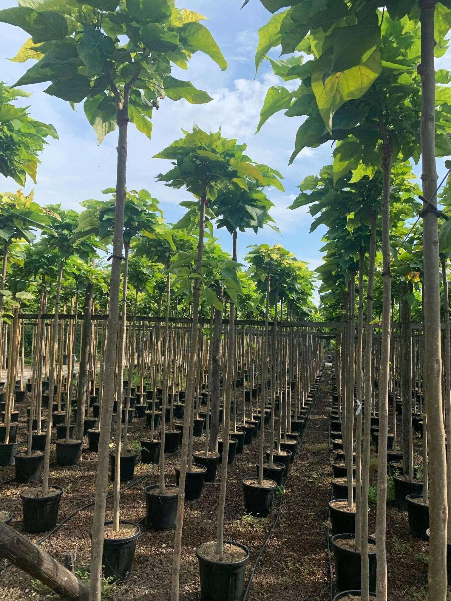 1603097955 rotated b1ef0217