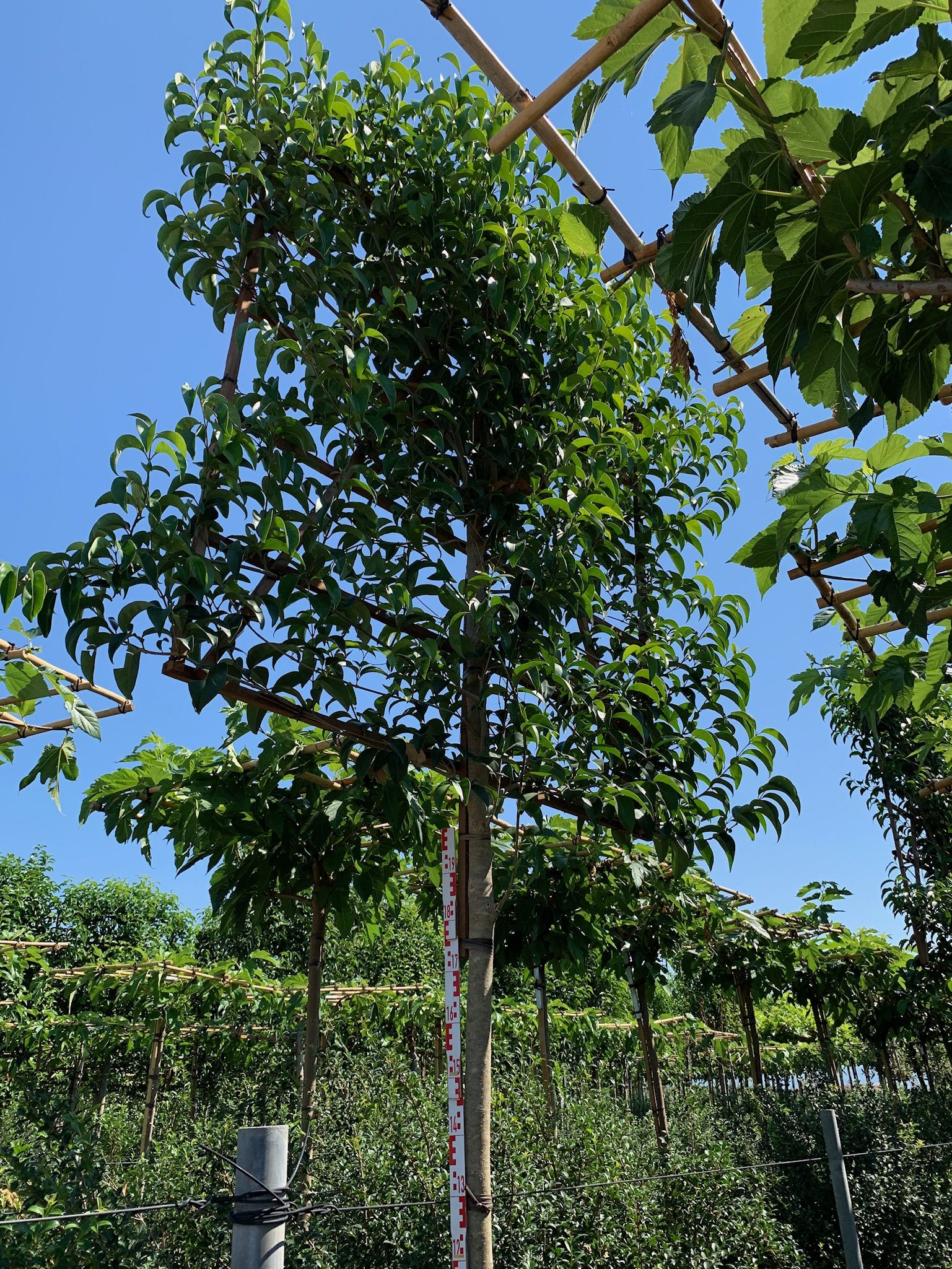 1606239736 1 b1a3edb0