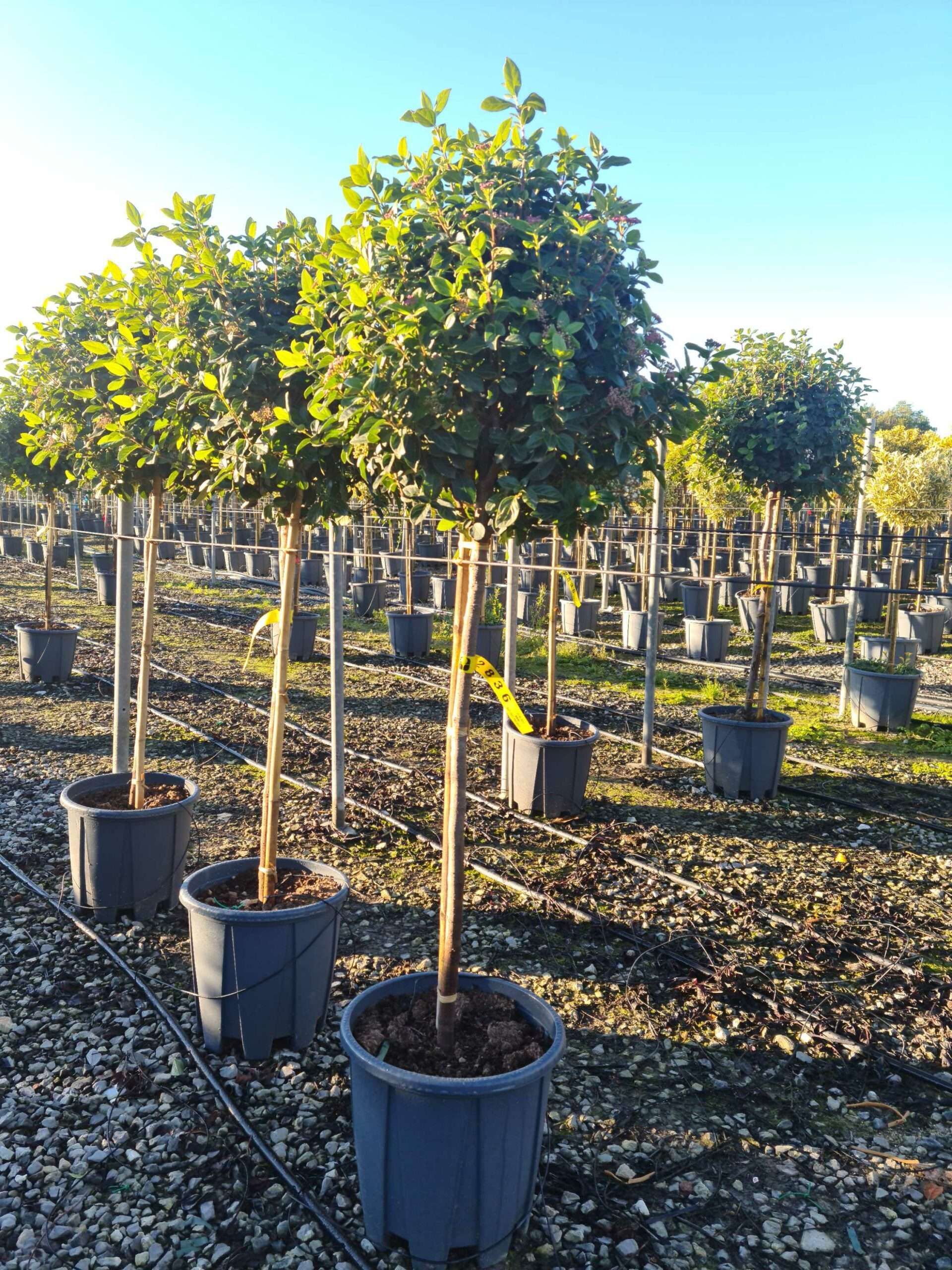 1639642746 scaled b1556e62