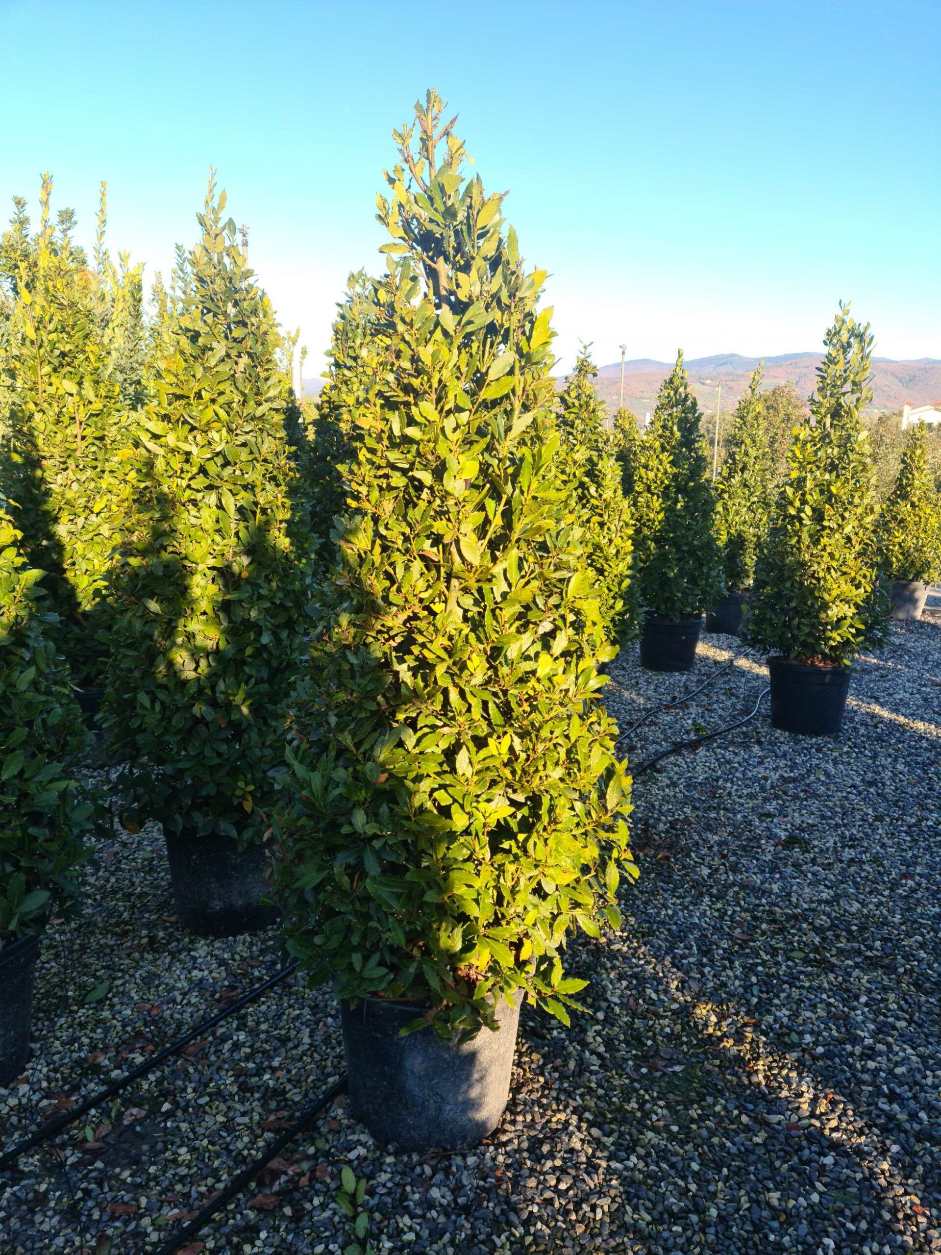 1639728823 scaled b157385c