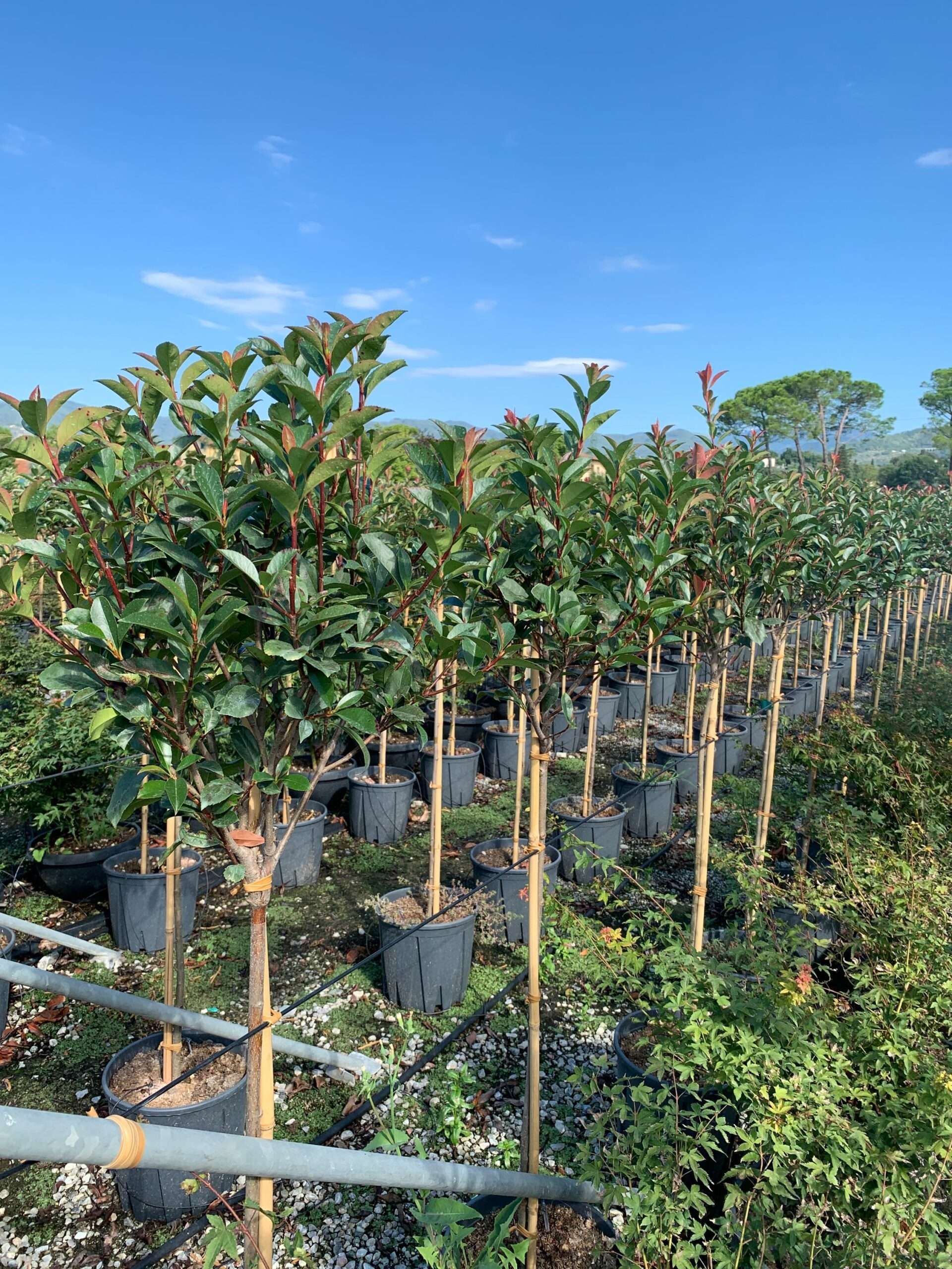 1662106622 scaled b174ebcd