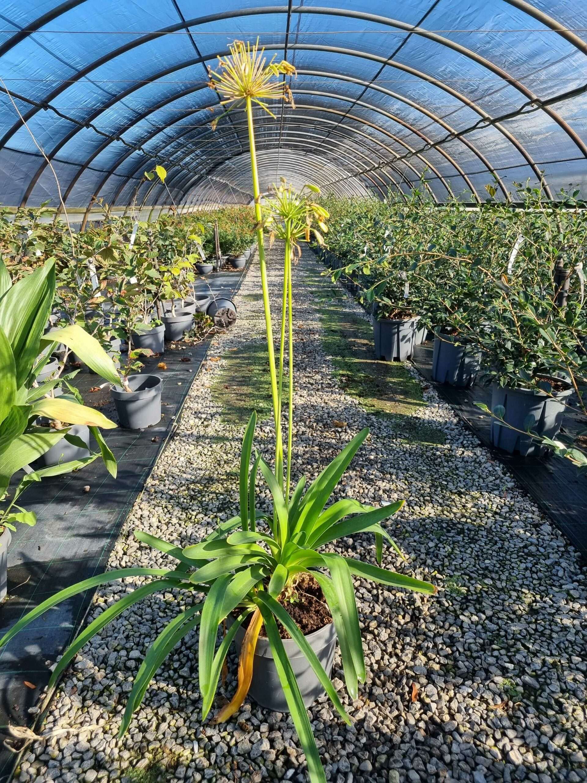 1663572703 scaled b19f0b89