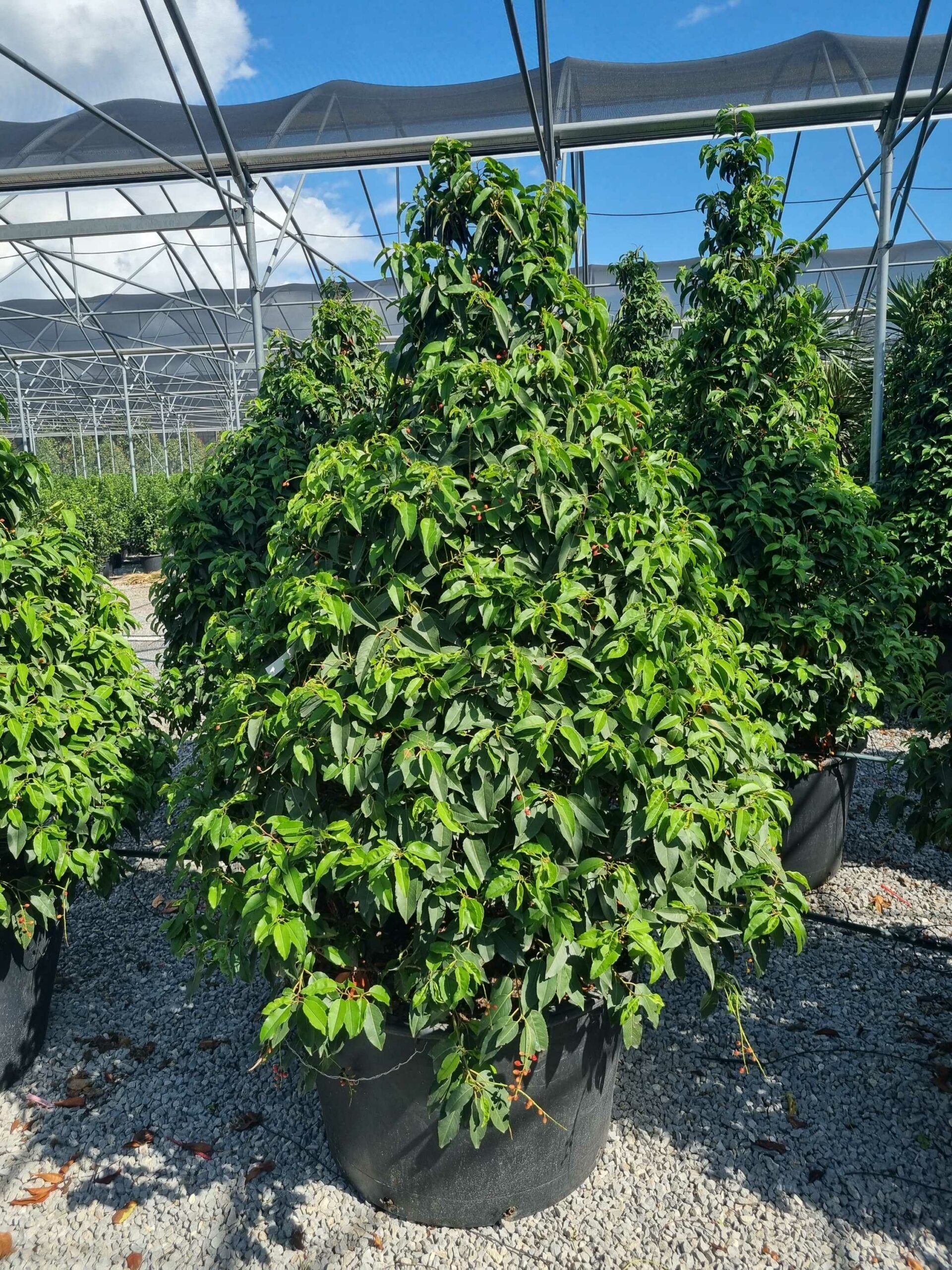 1663590867 scaled b1ec1c3a