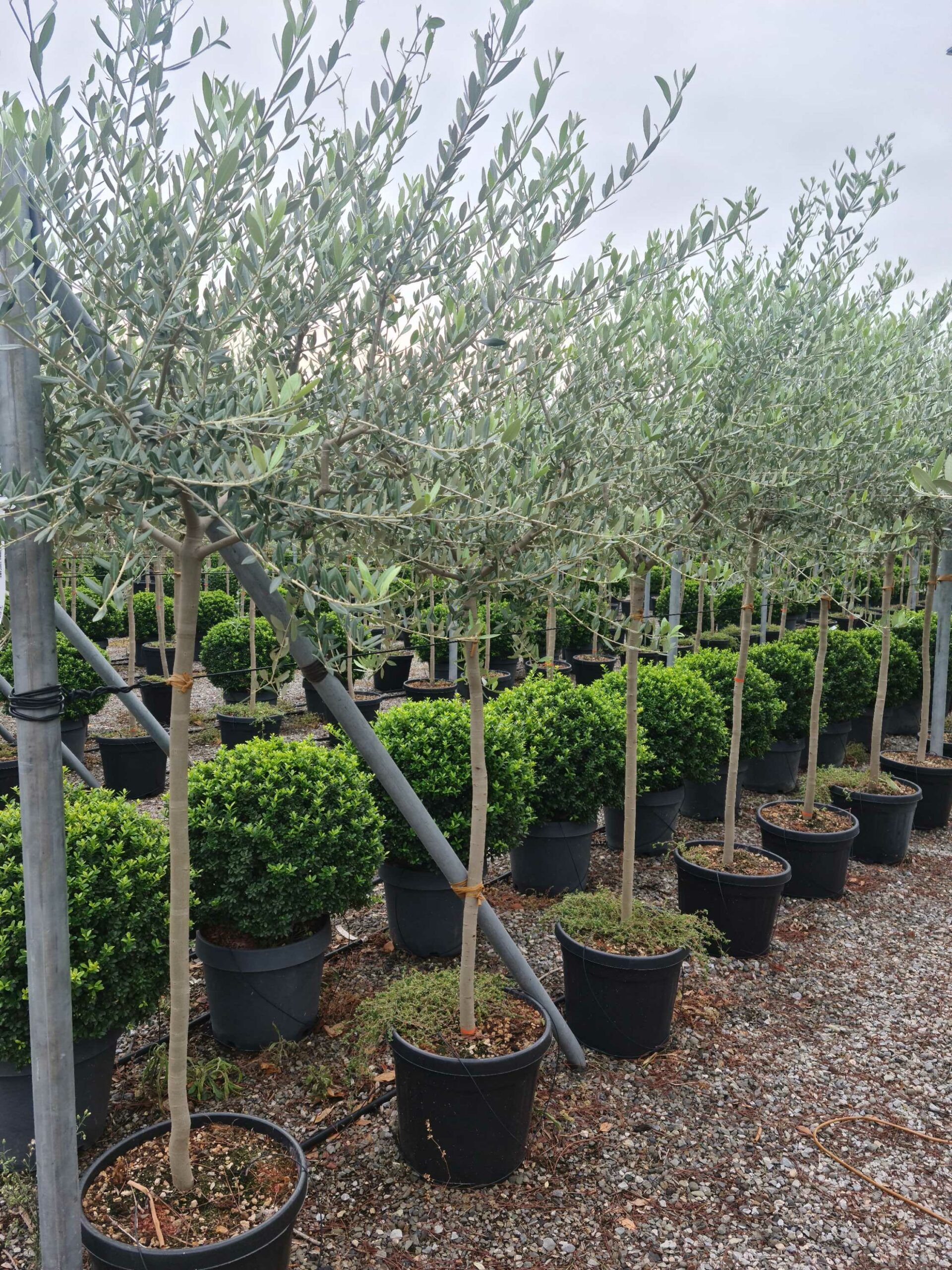 1664181481 scaled b195a0c6